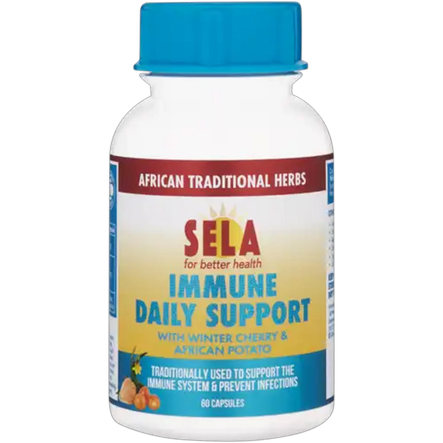 Image of SELA Immune Daily Support Caspules 60 Pack