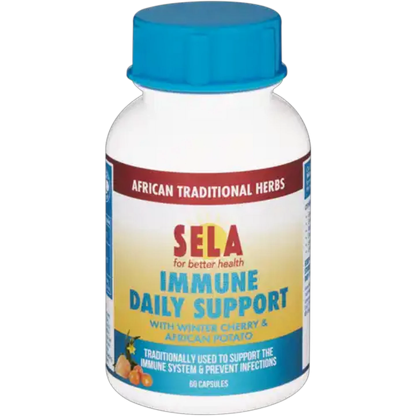 Image of SELA Immune Daily Support Caspules 60 Pack