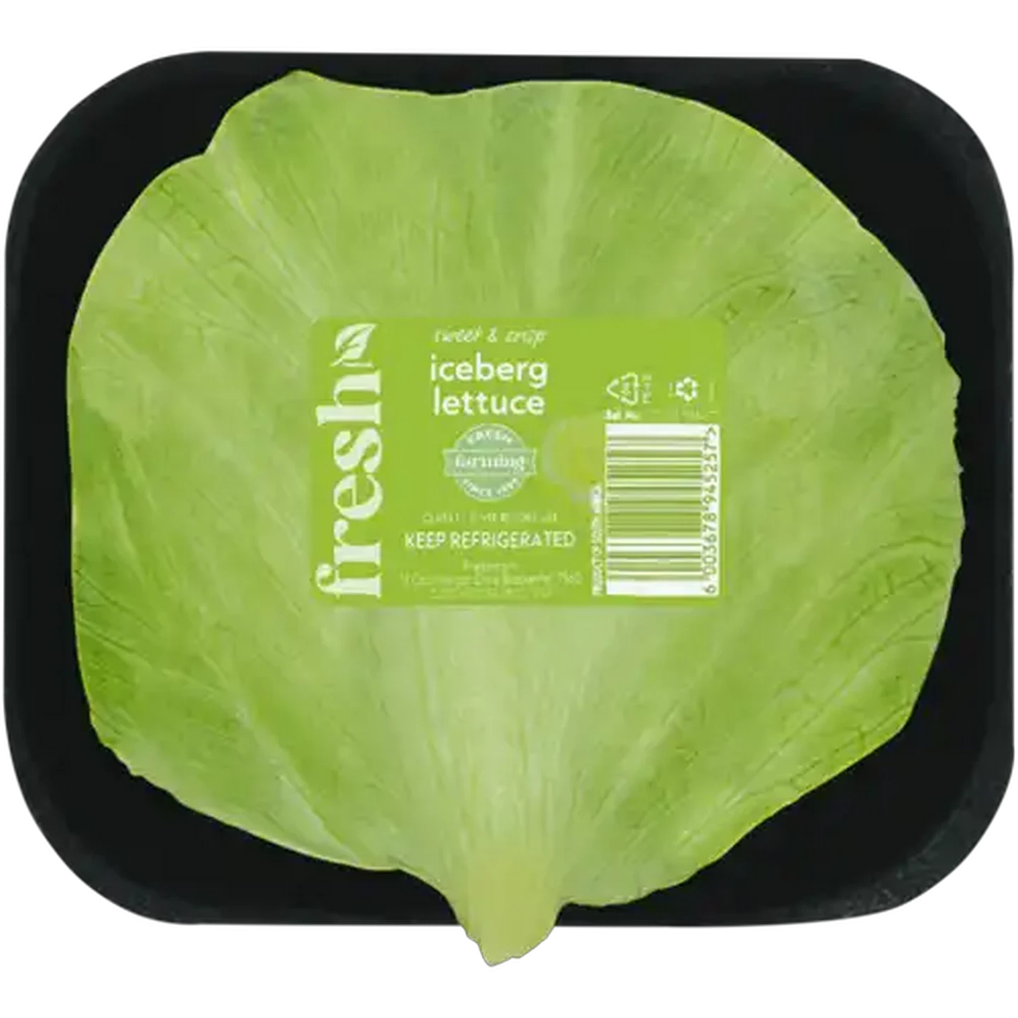 Image of Iceberg Lettuce