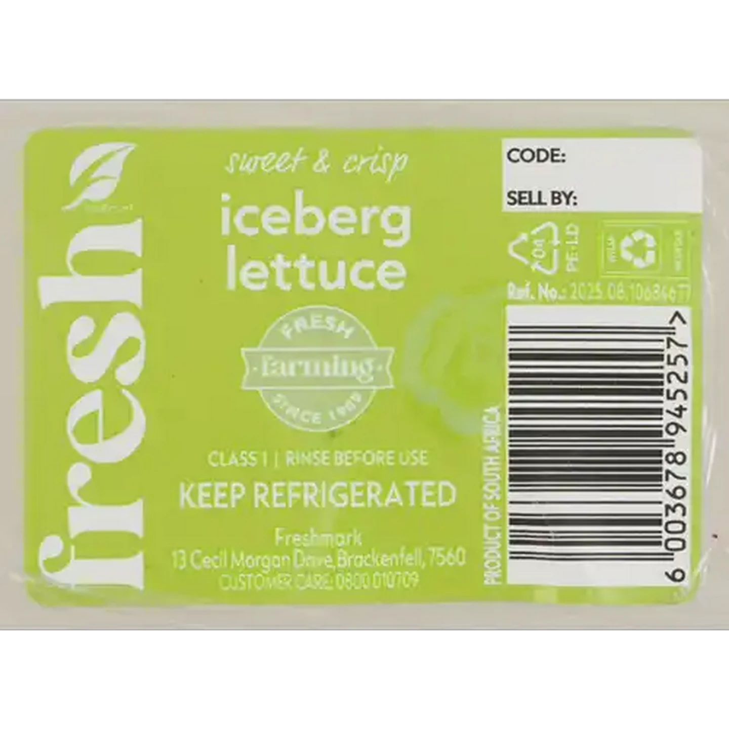 Image of Iceberg Lettuce