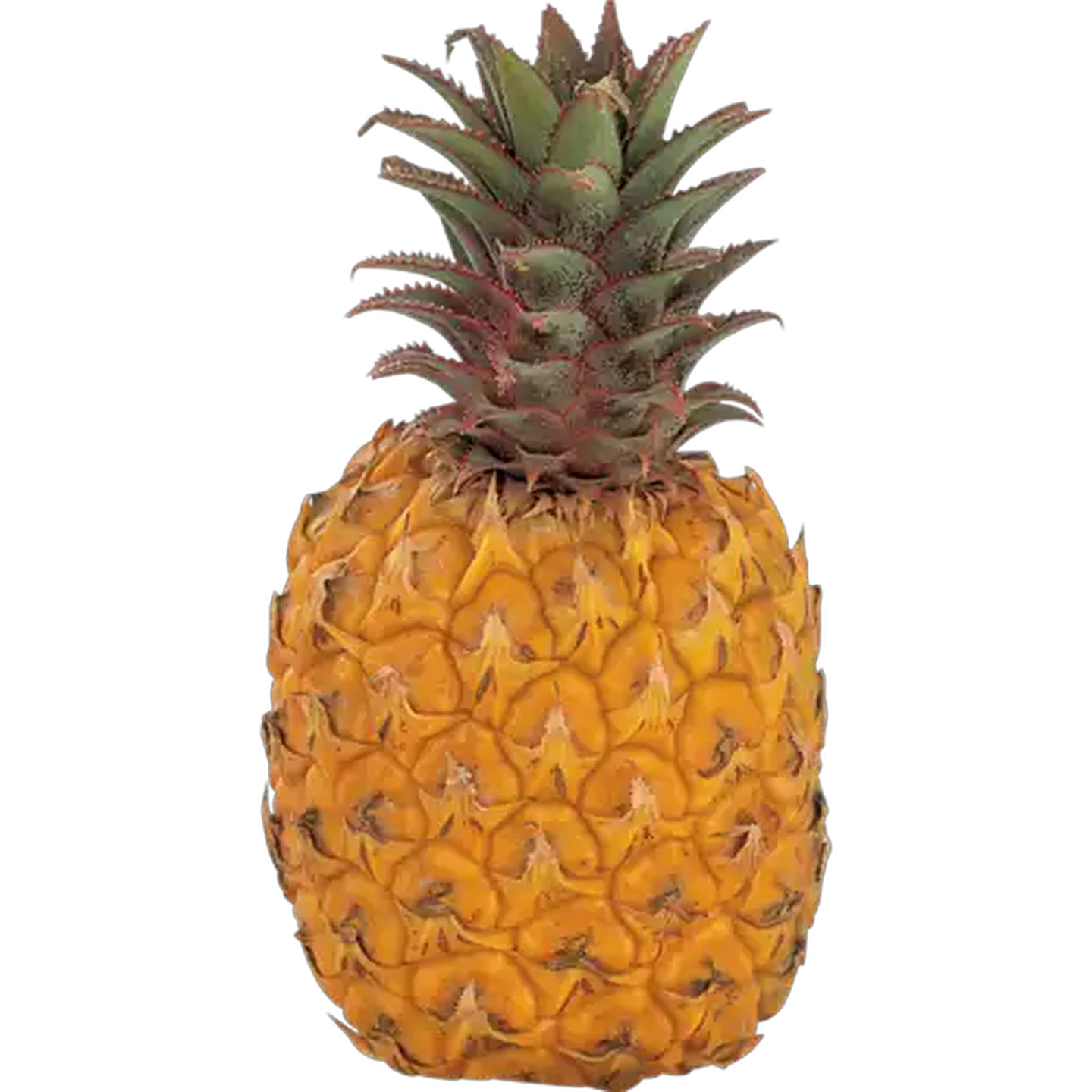 Image of Queen Pineapple