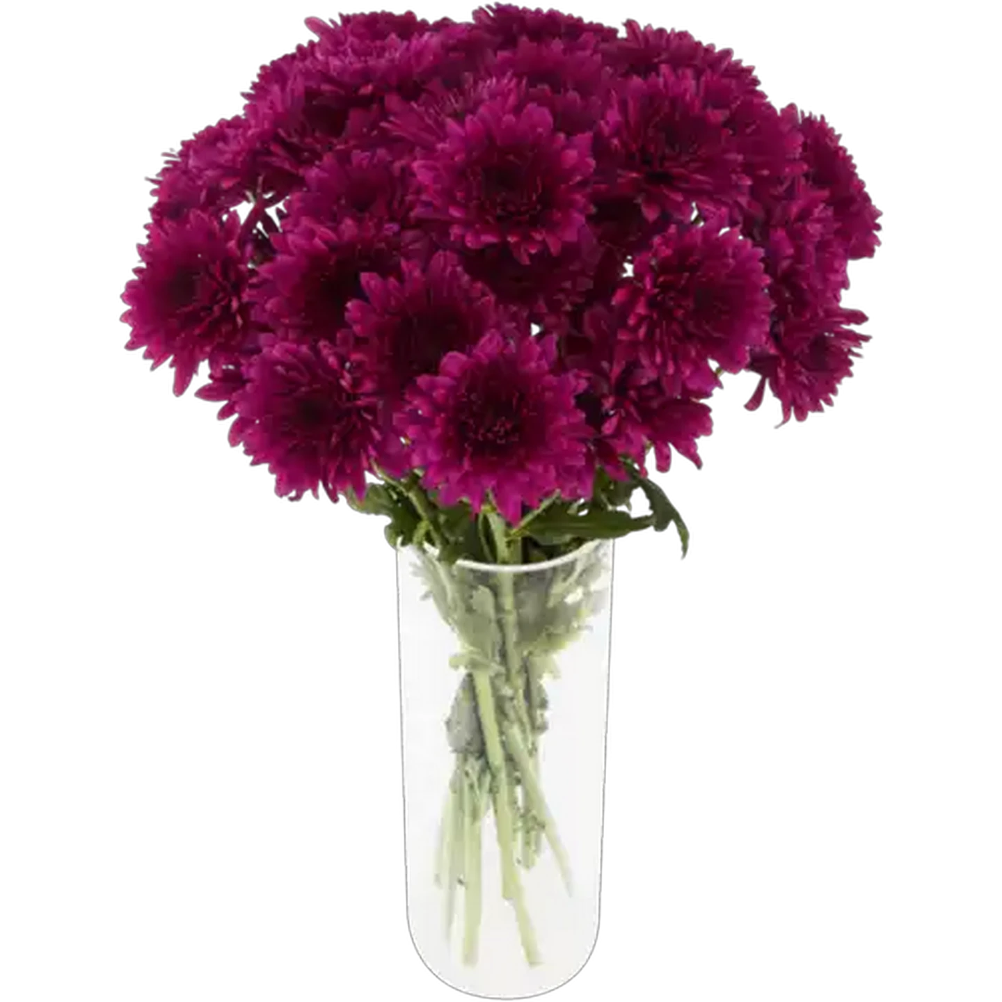 Image of Chrysanthemum Flowers Bouquet (Vase Not Included) (Colour May Vary)