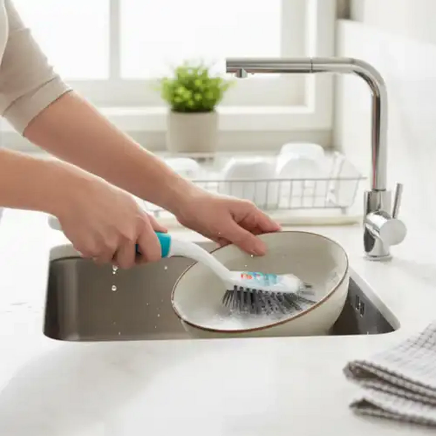 Image of Fass Dish Brush