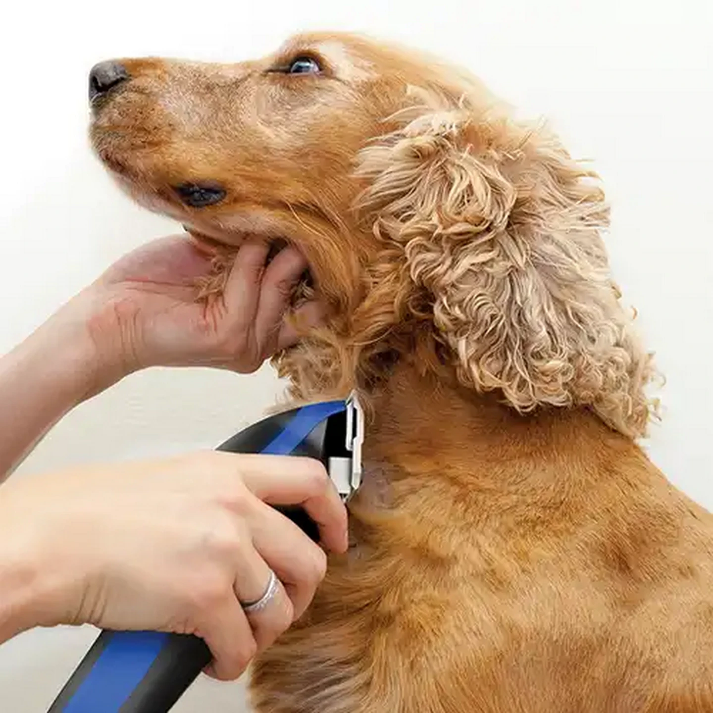 Image of Wahl Pet-Pro+ Corded Pet Hair Clipper Kit 8-Piece