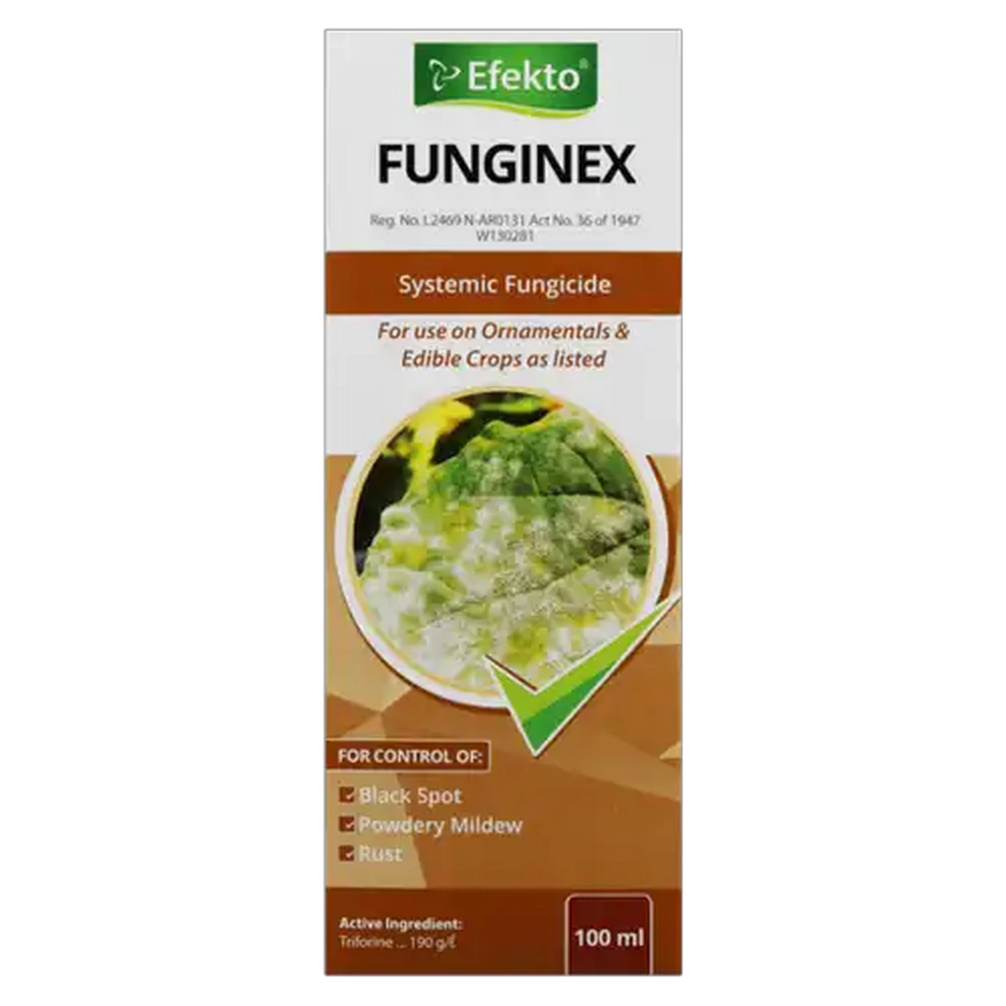 Image of Efekto Funginex Fungicide 100ml