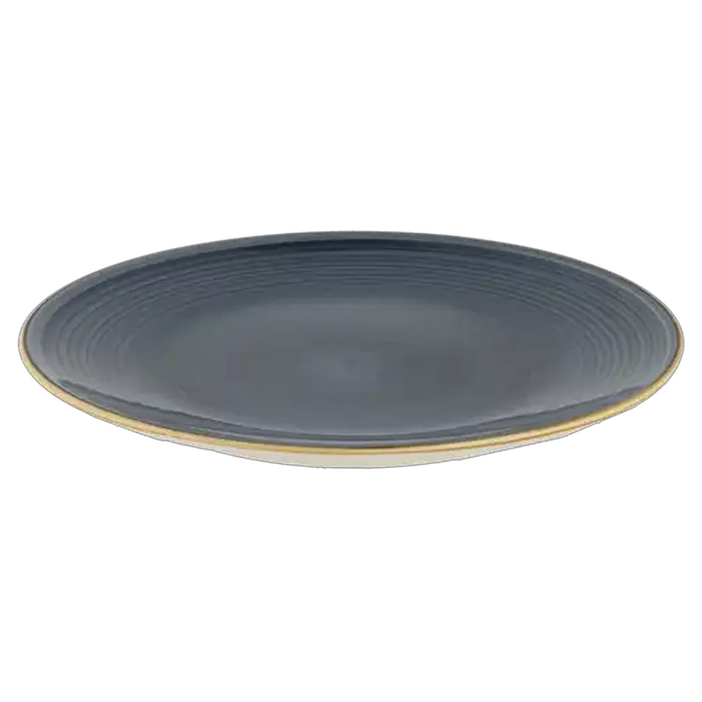 Image of Speckled Blue Dinner Plate 26.7cm