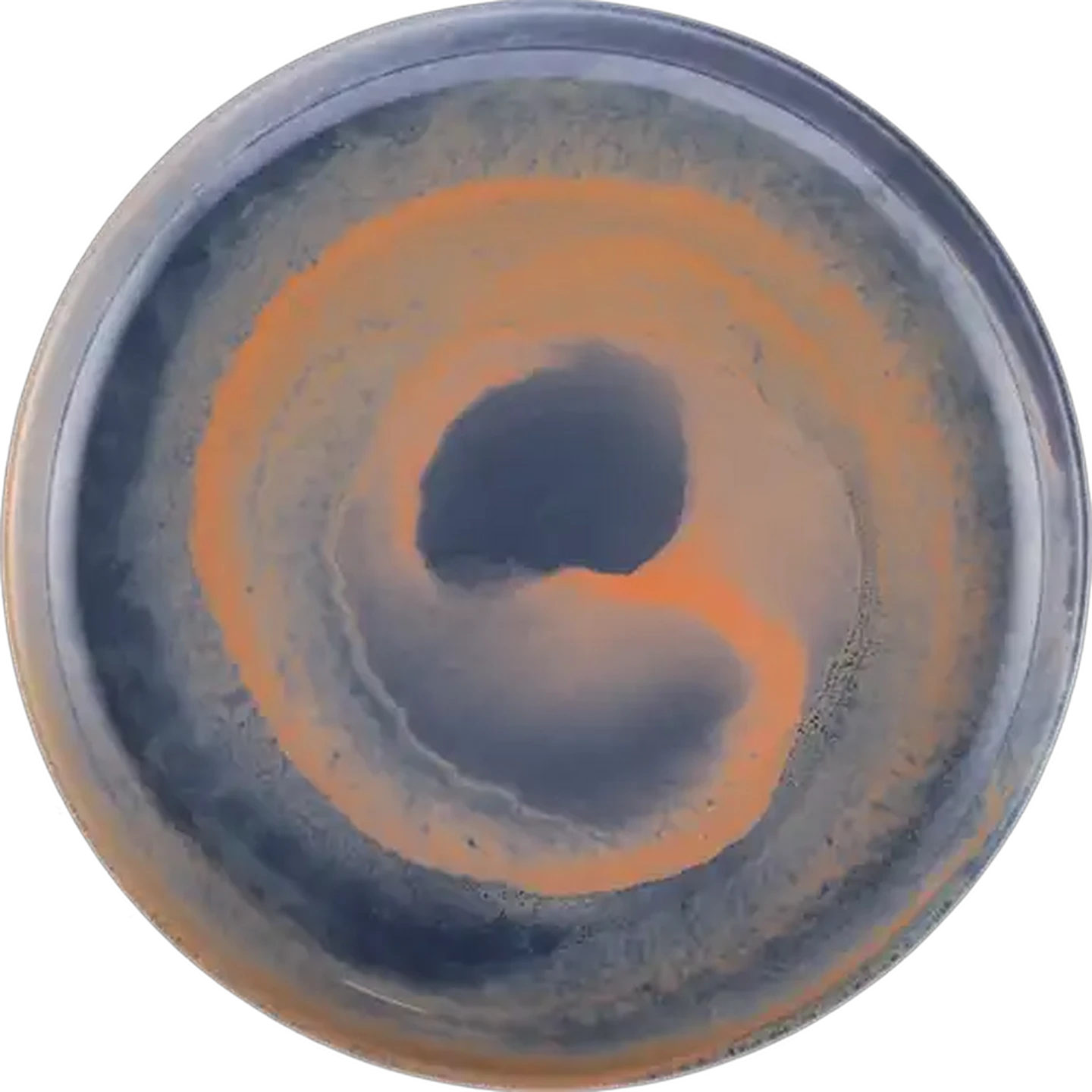 Image of Venezia Glass Plate 21cm