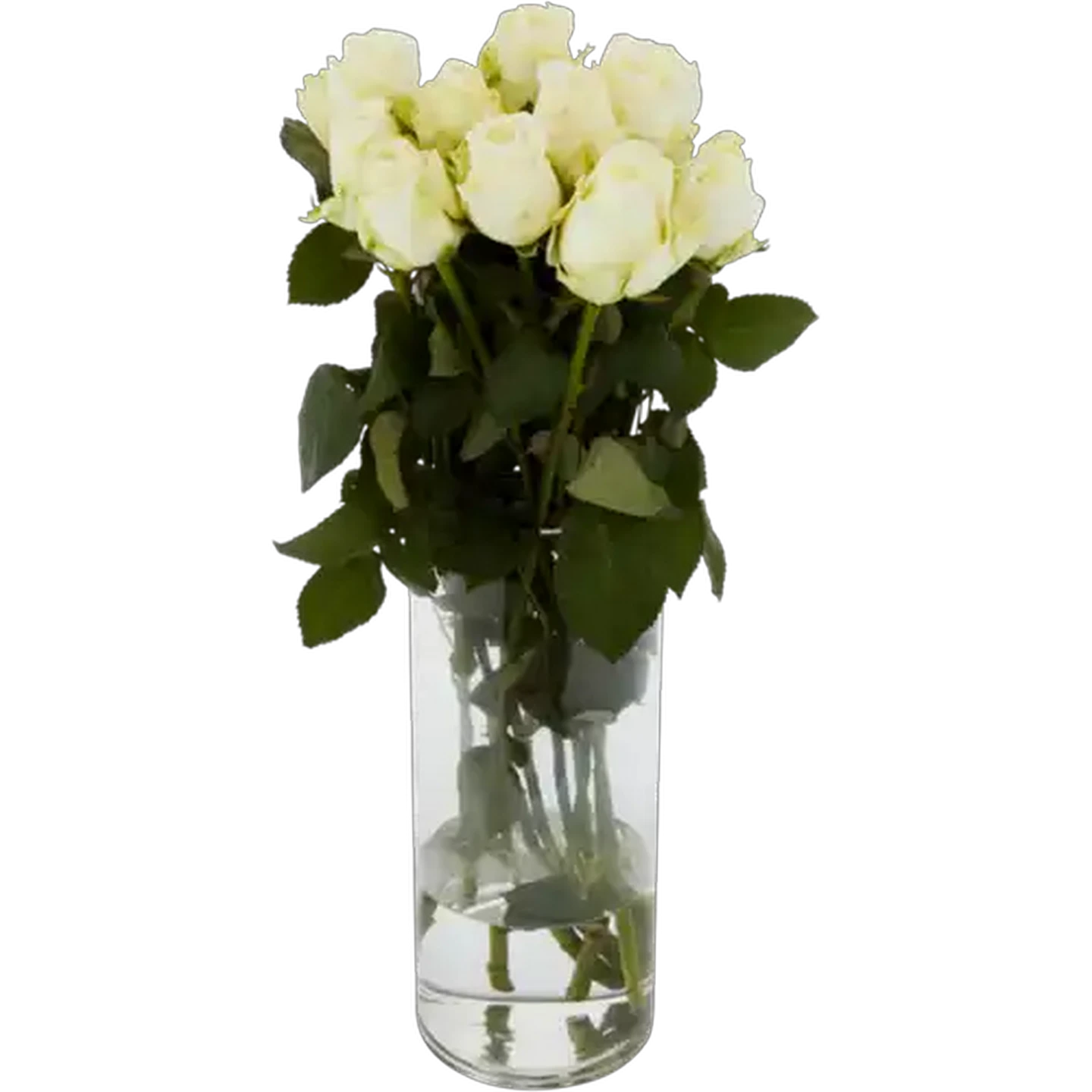 Image of White Rose Bunch (Vase Not Included)