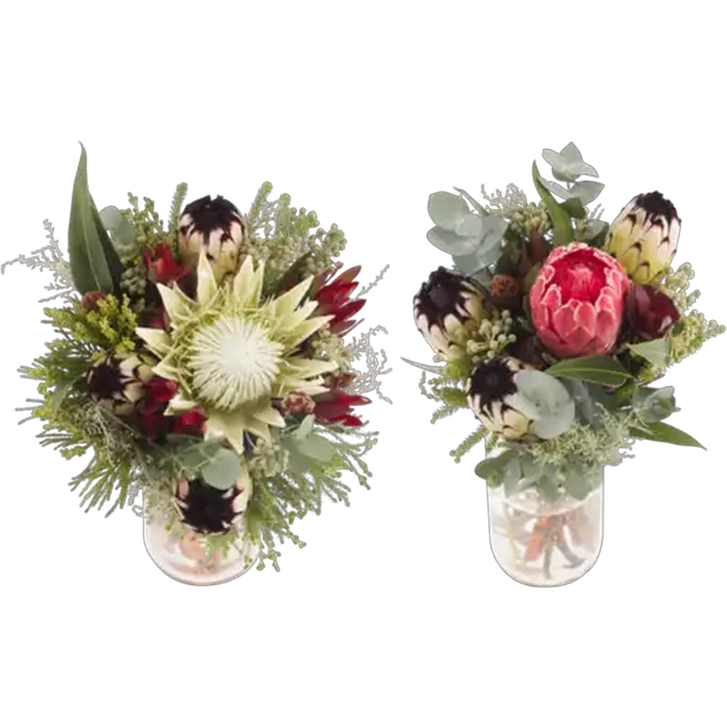 Image of Festive Fynbos Flowers