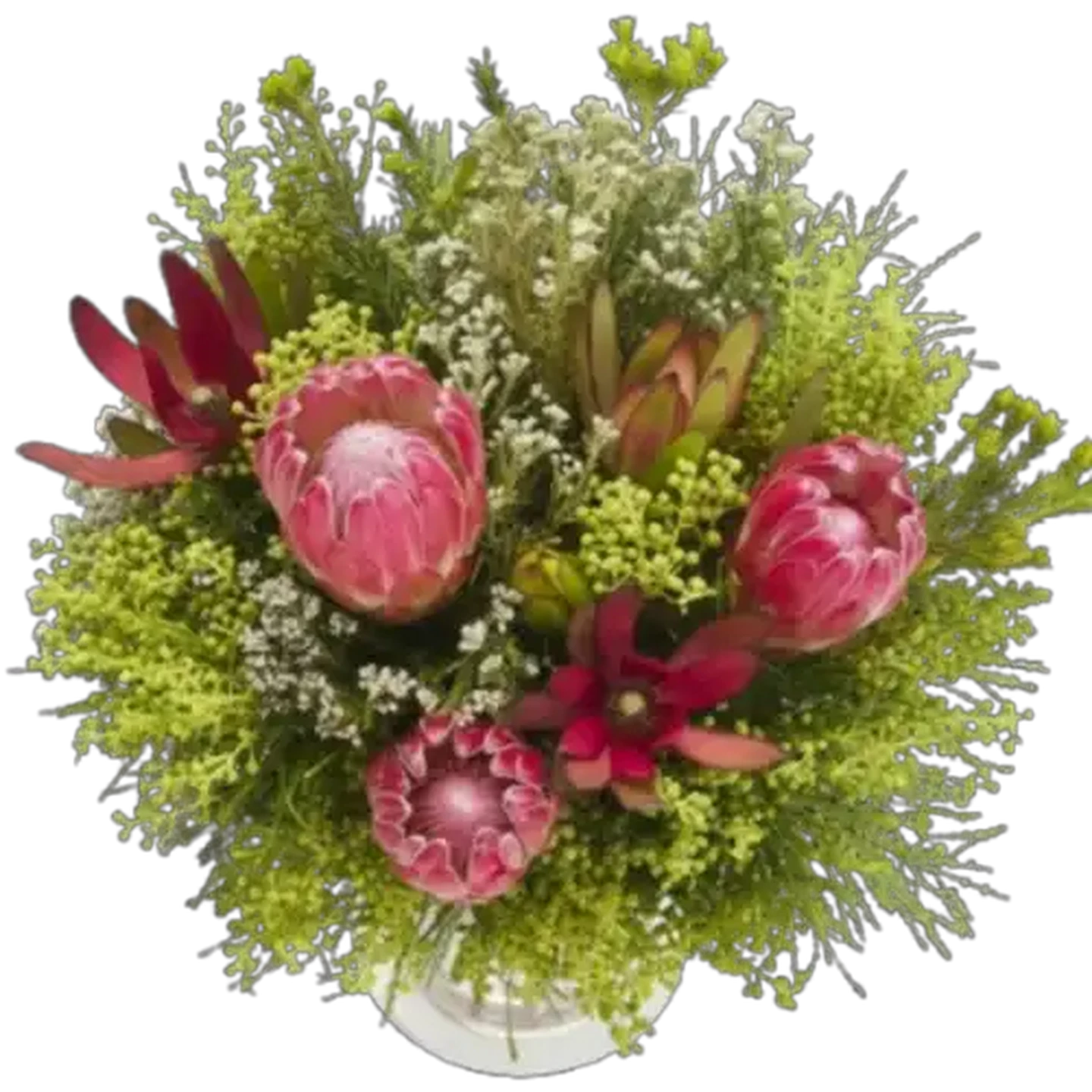 Image of Protea Flowers Bouquet (Vase Not Included)