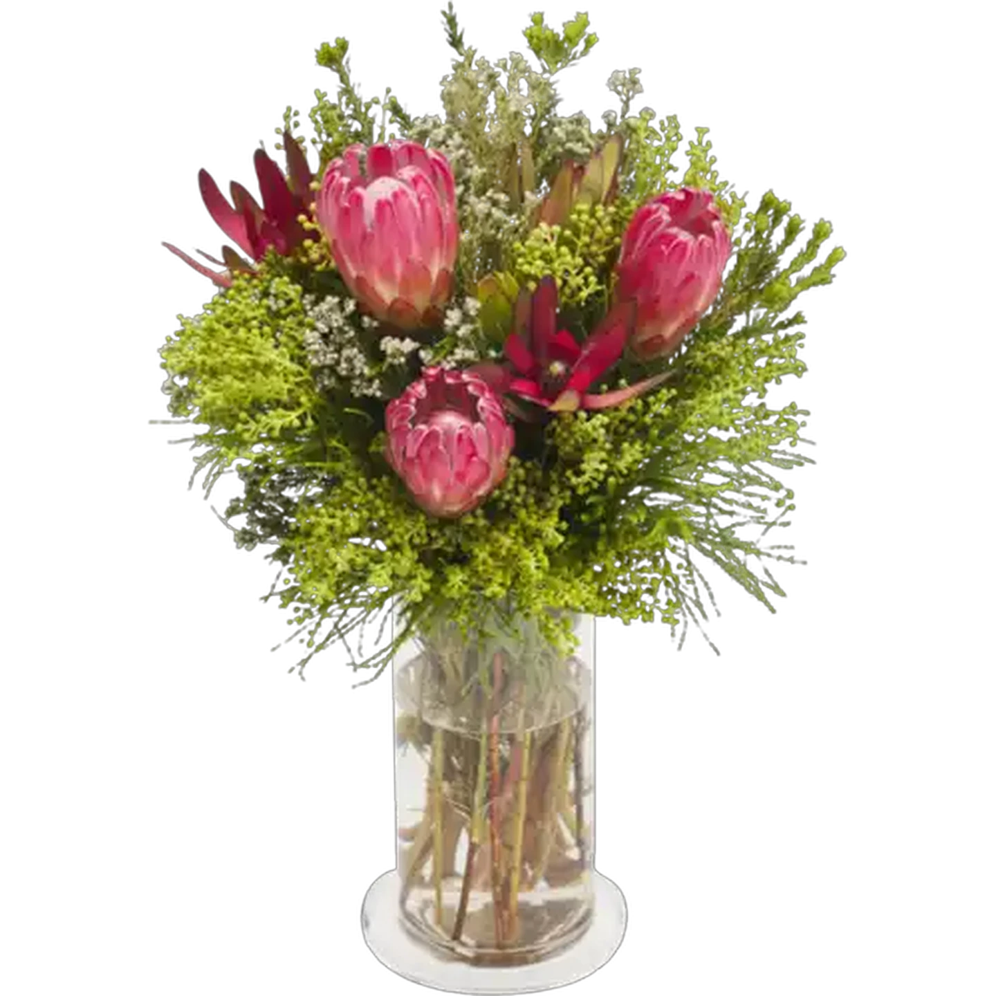 Image of Protea Flowers Bouquet (Vase Not Included)