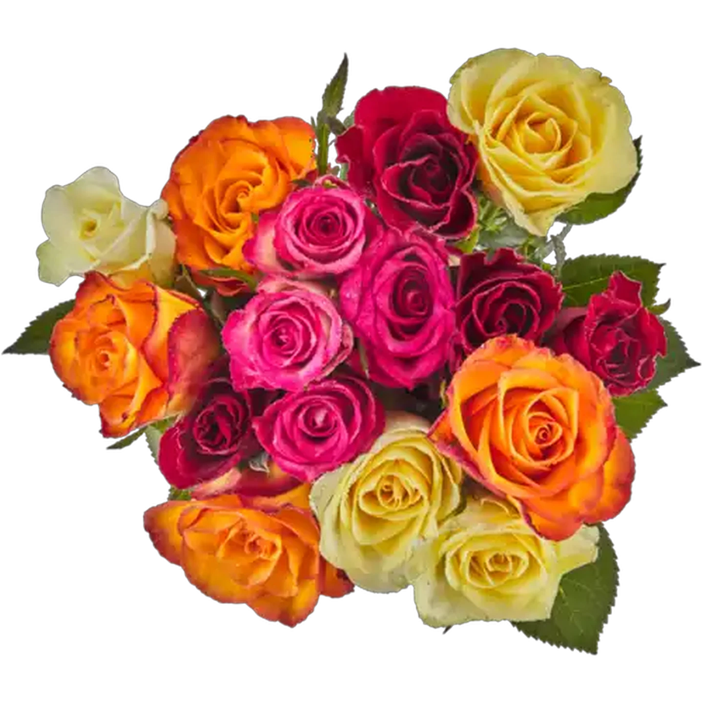 Image of Roses Speciality Bouquet 50cm (Vase Not Included)