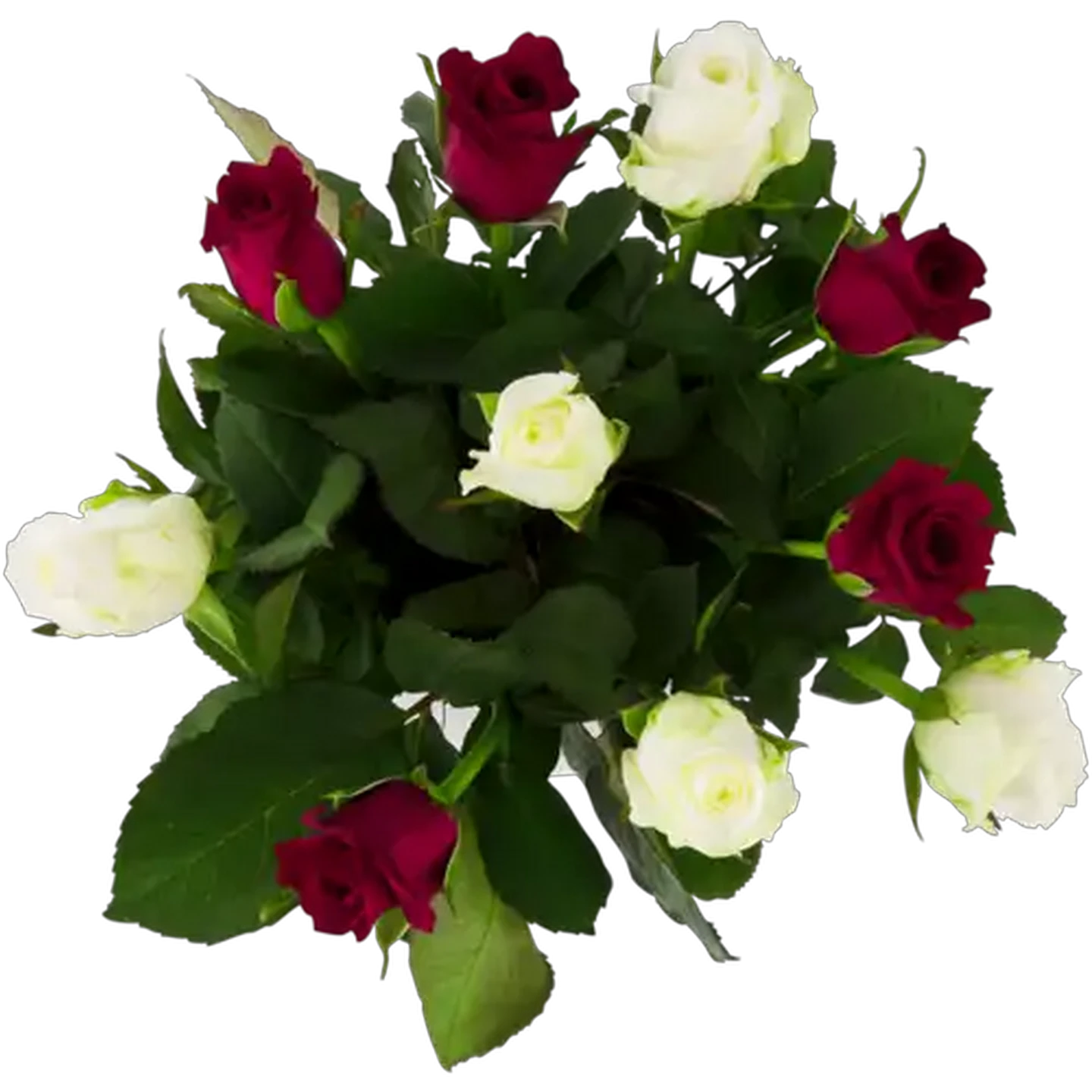 Image of Valentine's Red & White Rose Bunch 40cm