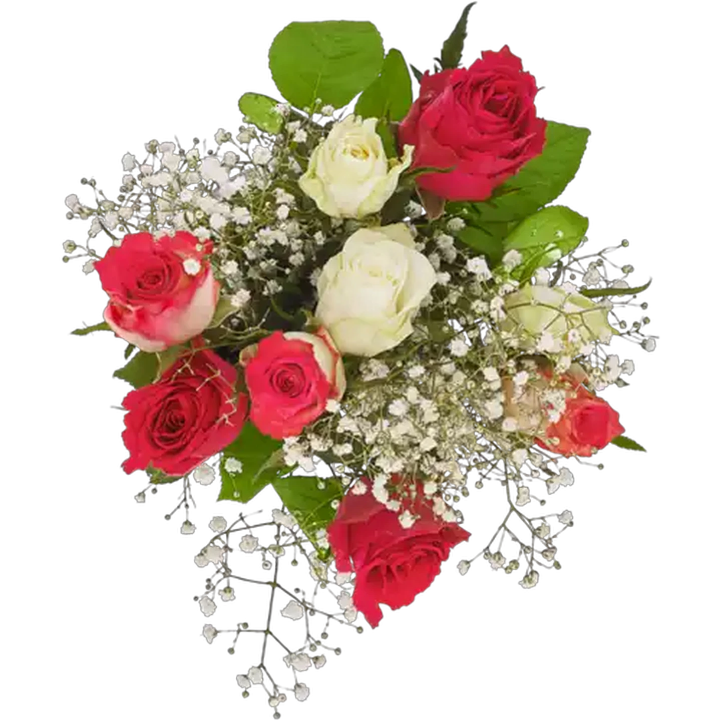 Image of Mother's Day Rose Delight Bunch (Vase Not Included) (Colour May Vary)