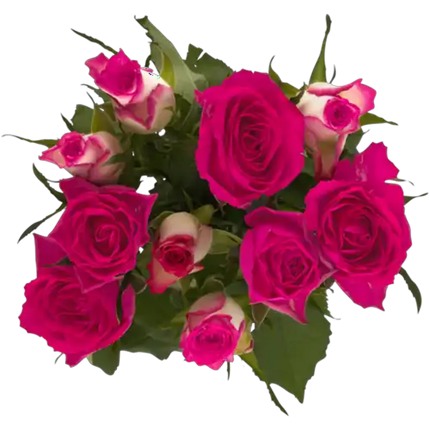 Image of Pastel Rose Selection Bouquet 1s (Colour May Vary)