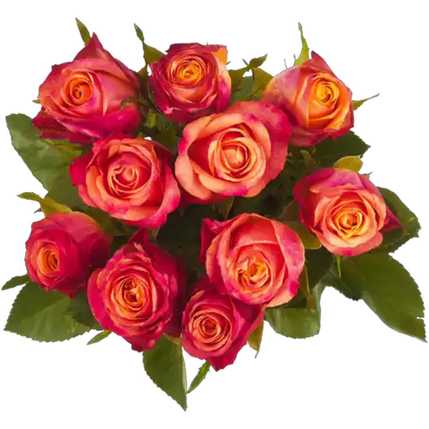 Checkers Sixty60 | Two-Tone Flame Rose Bouquet (Vase Not Included)