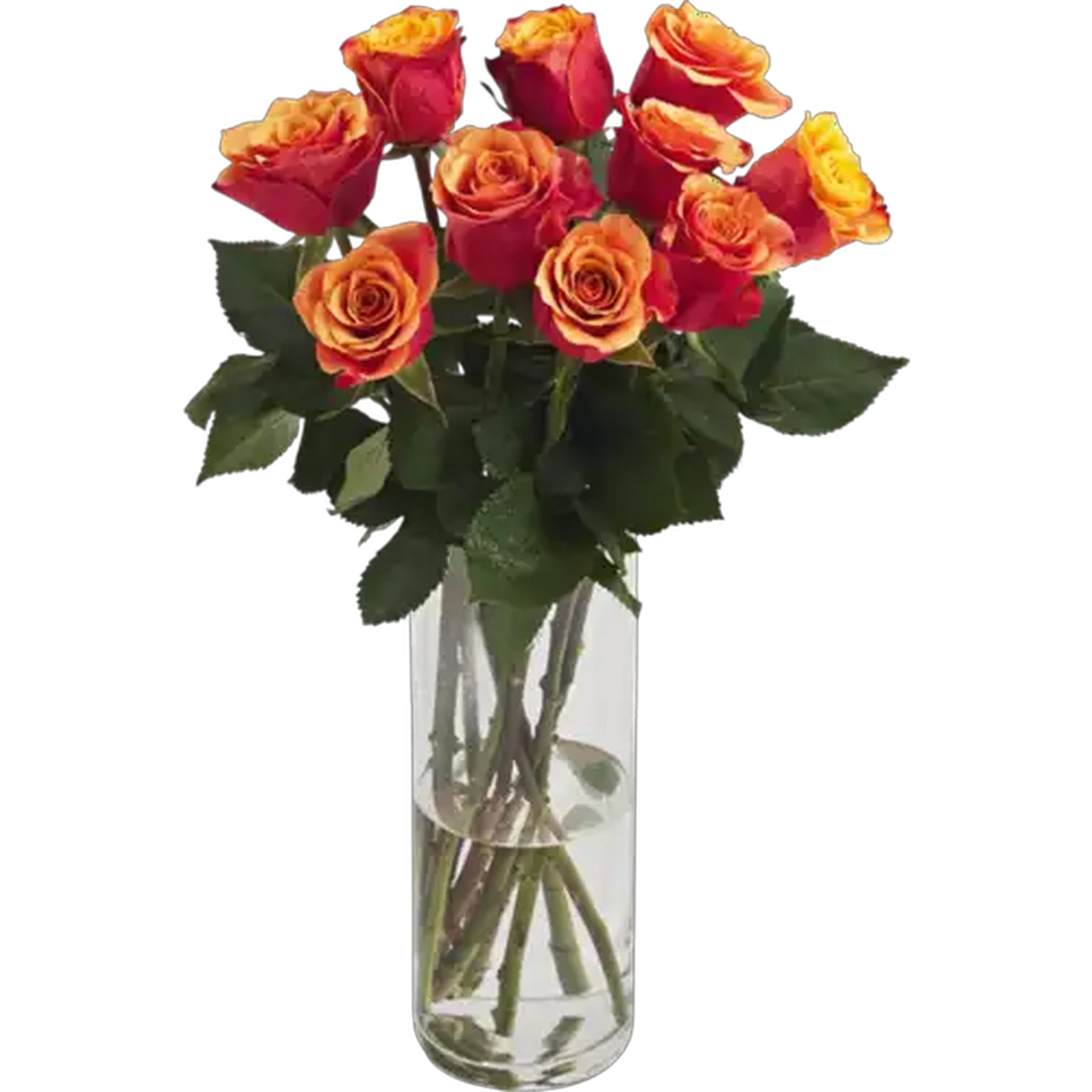 Image of Two-Tone Flame Rose Bouquet (Vase Not Included)