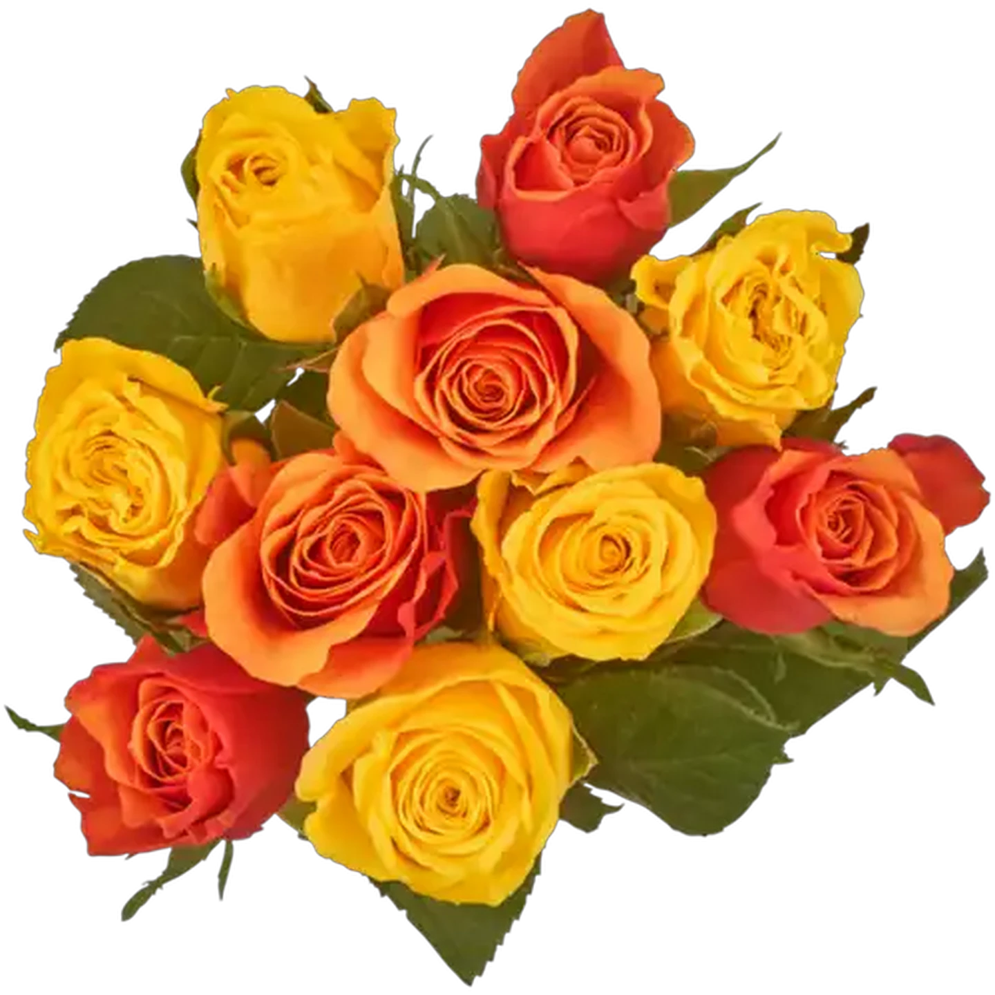 Checkers Sixty60 | Bright Rose Flower Selection (Colour May Vary)
