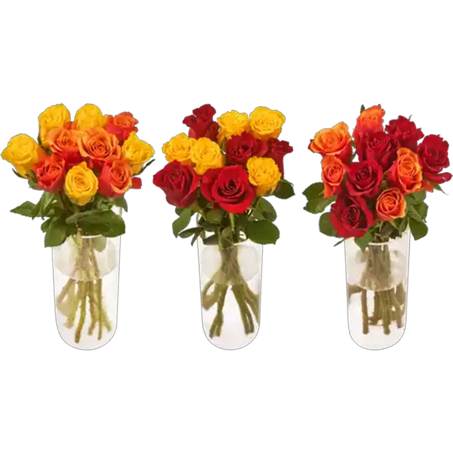 Image of Bright Rose Flower Selection (Colour May Vary)