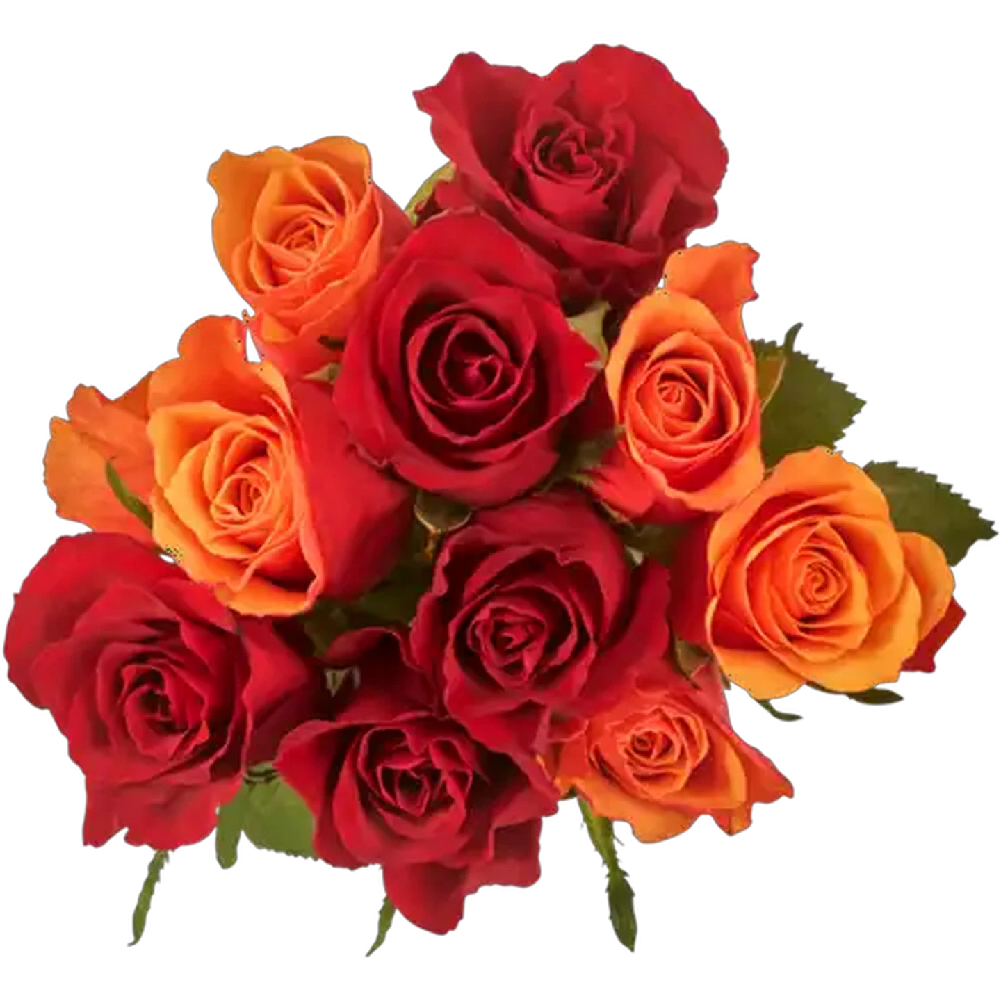 Image of Bright Rose Flower Selection (Colour May Vary)