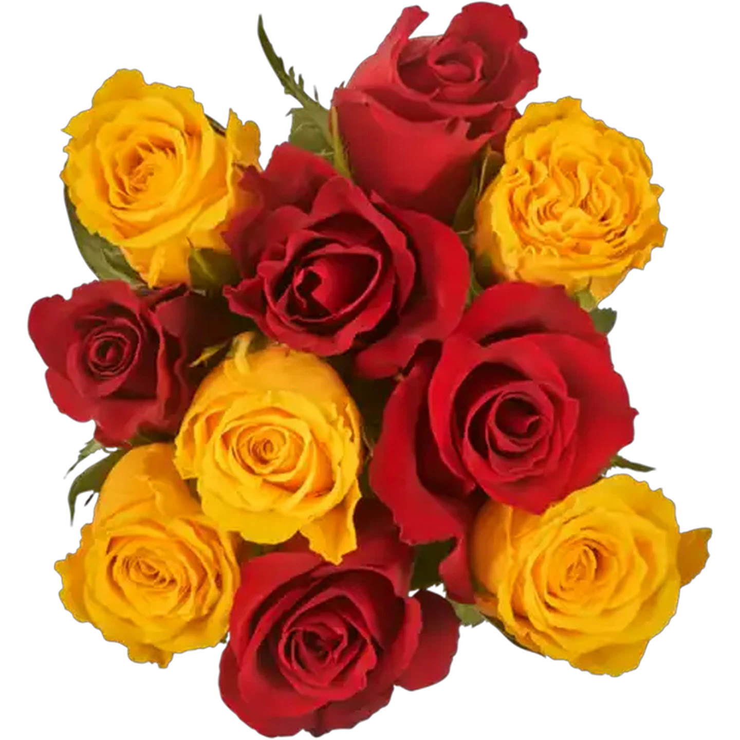 Image of Bright Rose Flower Selection (Colour May Vary)