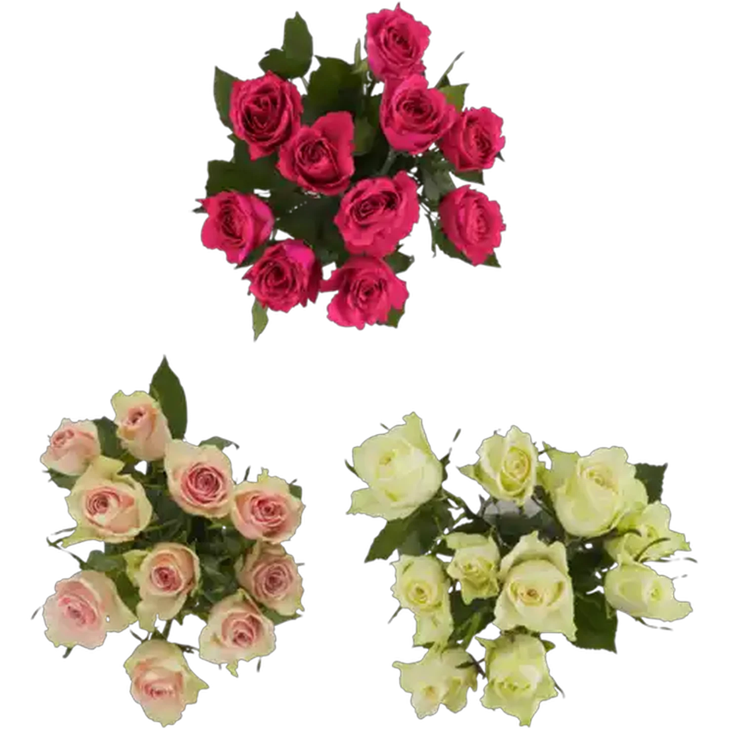 Image of Pastel Rose Flower Bunch (Colour May Vary)