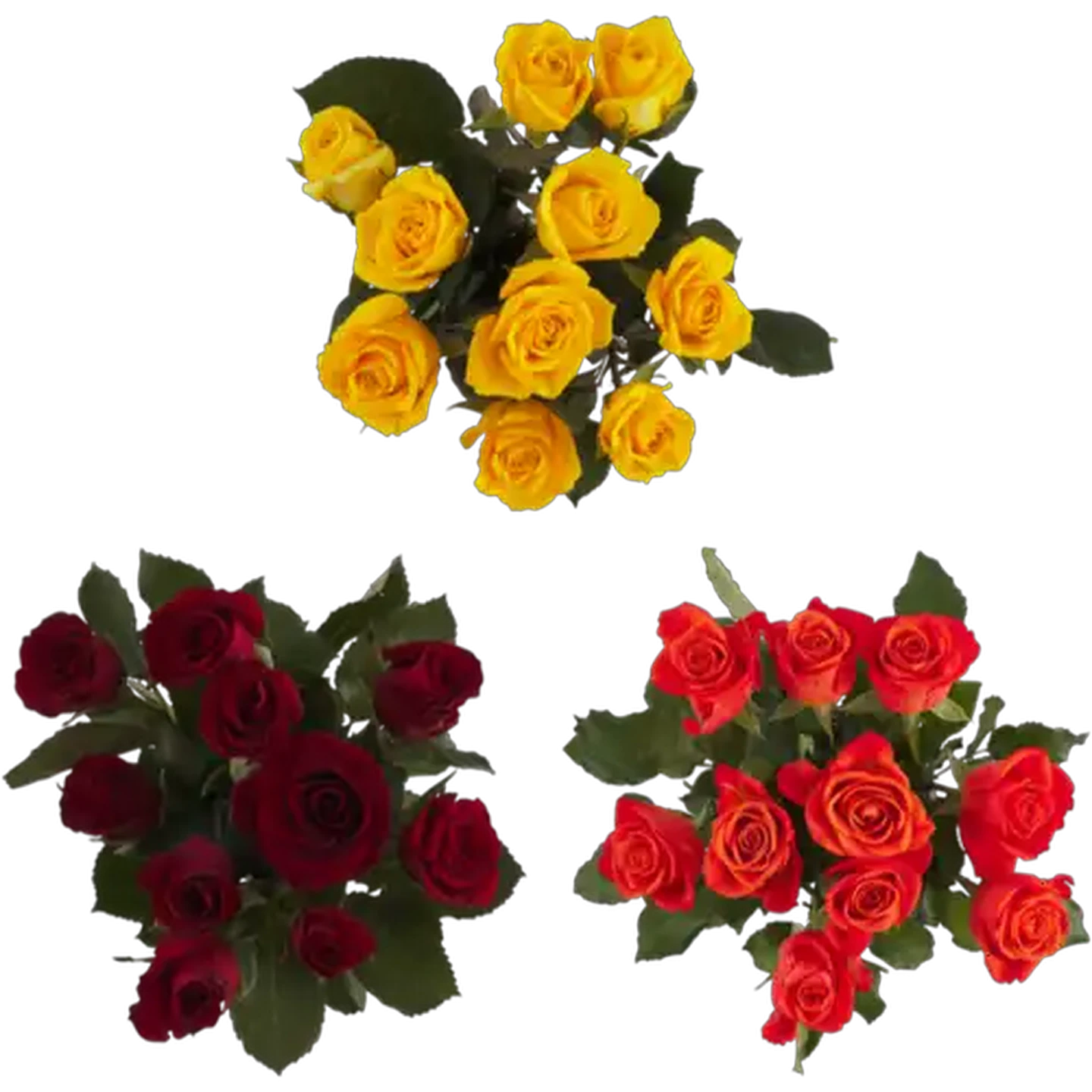 Image of Bright Rose Flower Bunch (Colour May Vary)