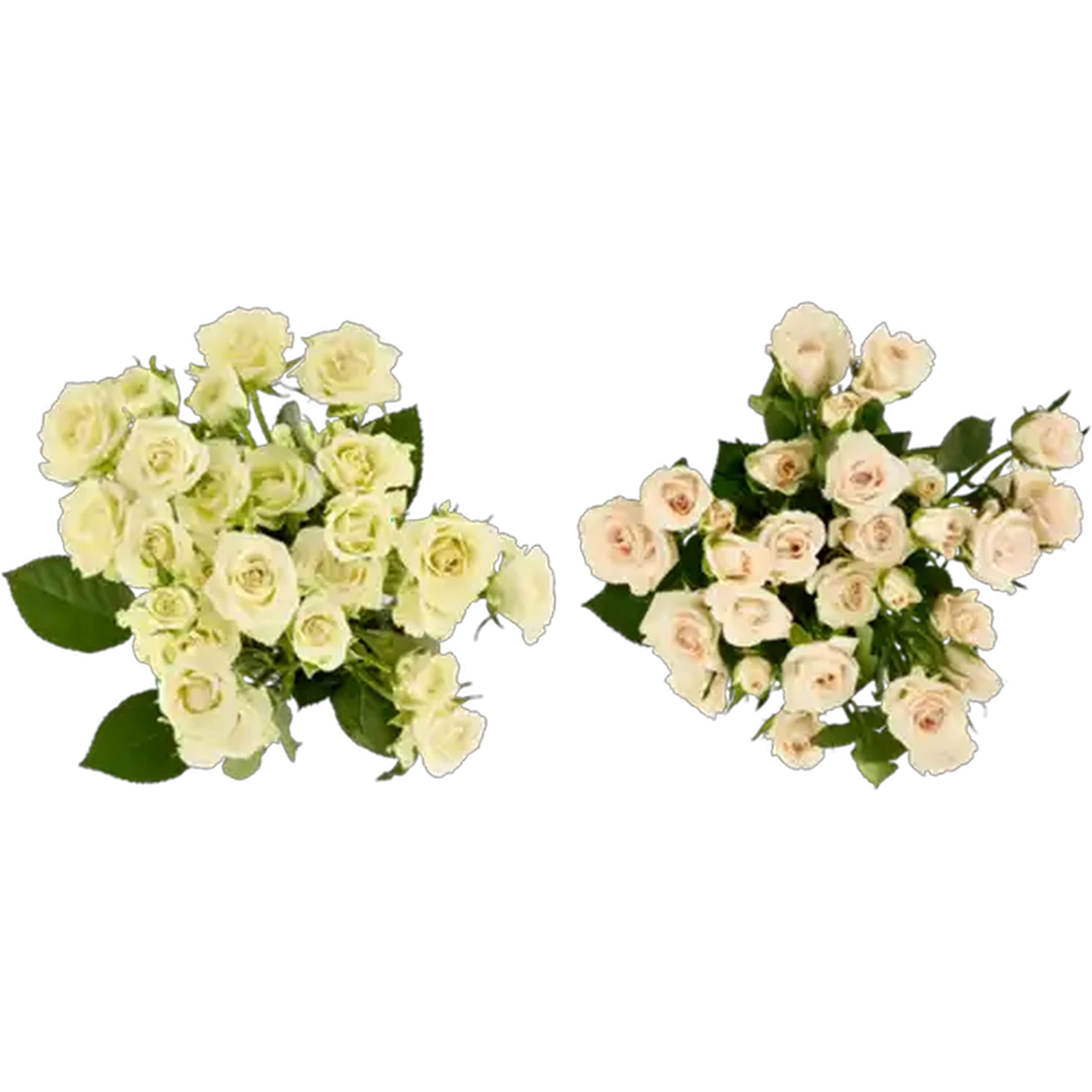 Checkers Sixty60 | Flower Spray Rose Bouquet