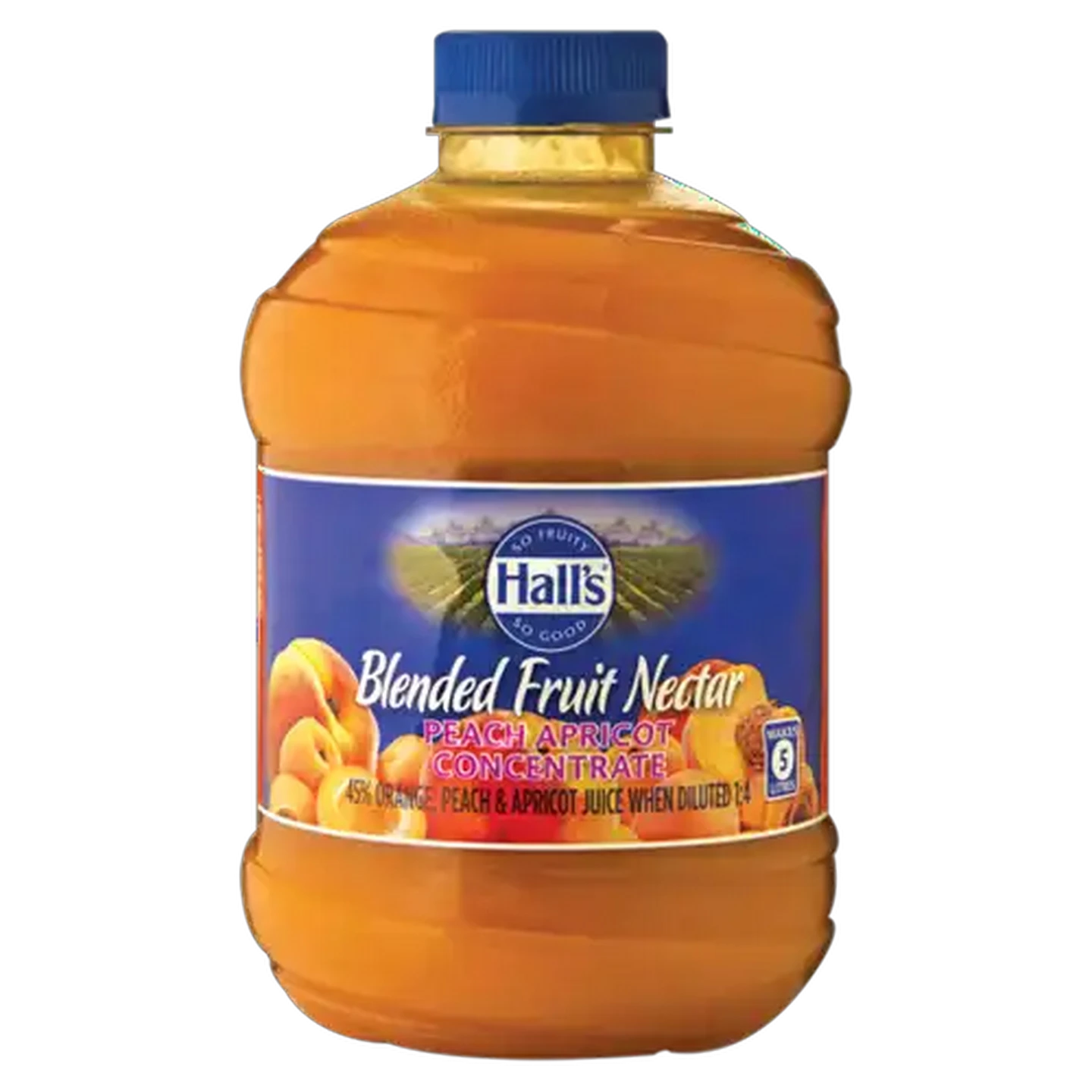 Image of Hall's Peach Apricot Flavoured Concentrated Blended Fruit Nectar 1L