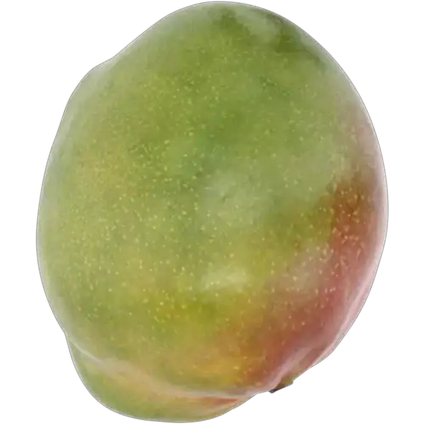 Image of Mango