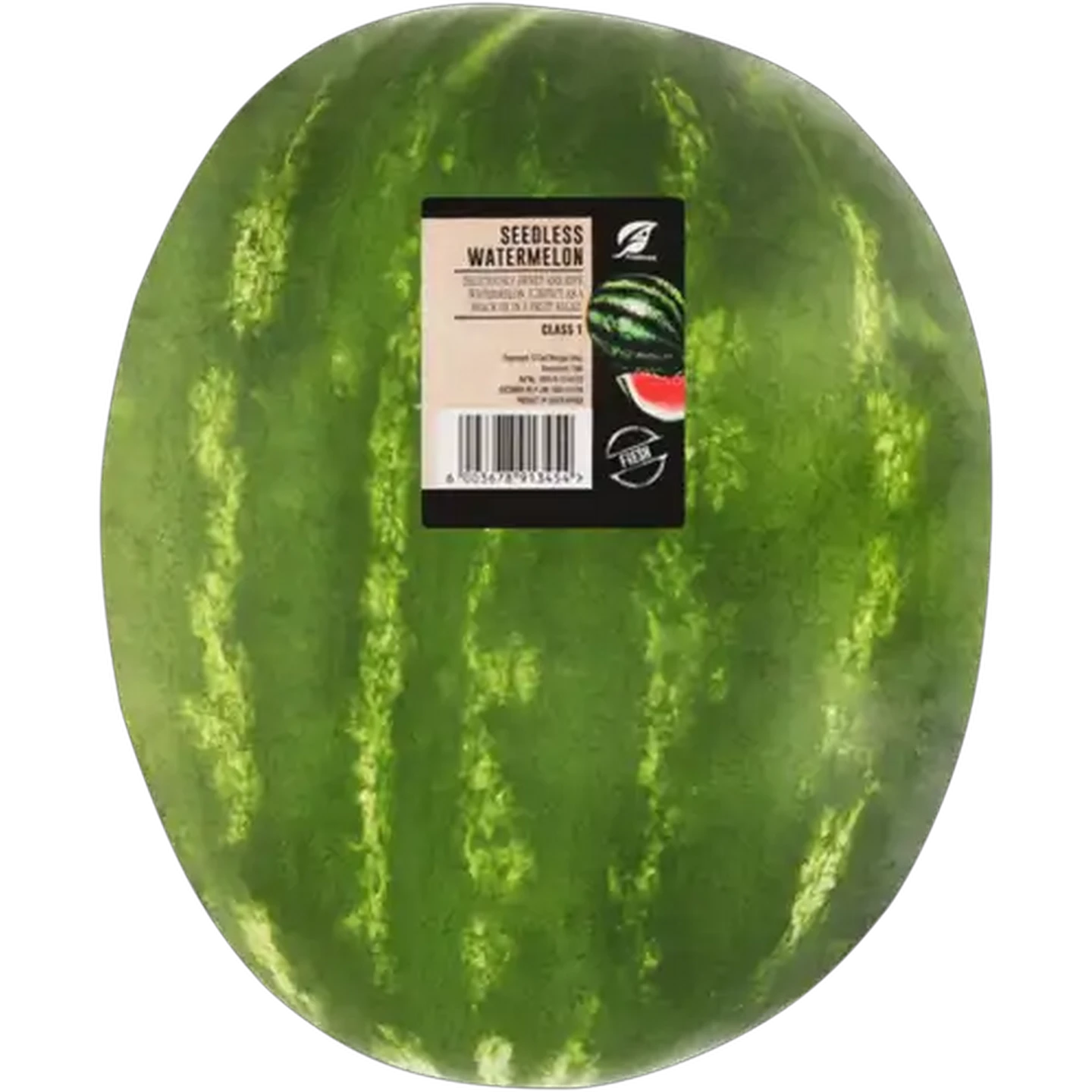 Image of Red Seedless Medium Watermelon