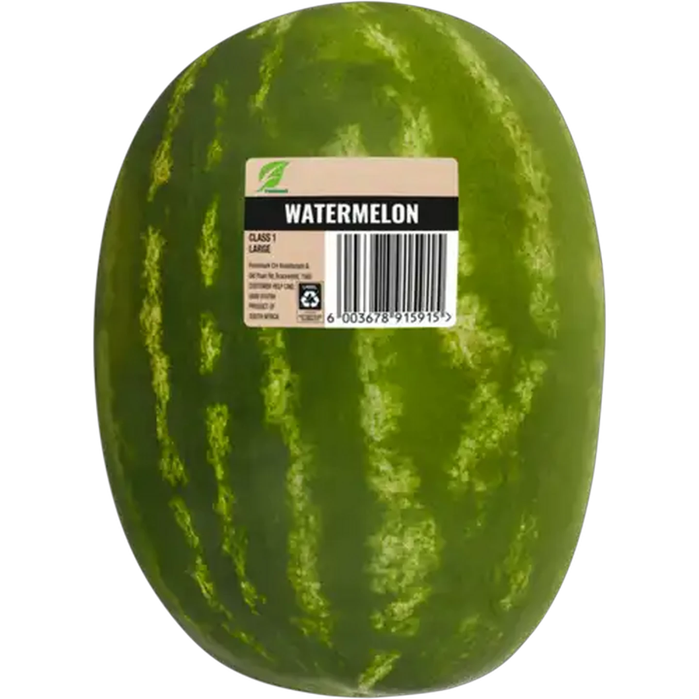 Image of Medium Watermelon 1s