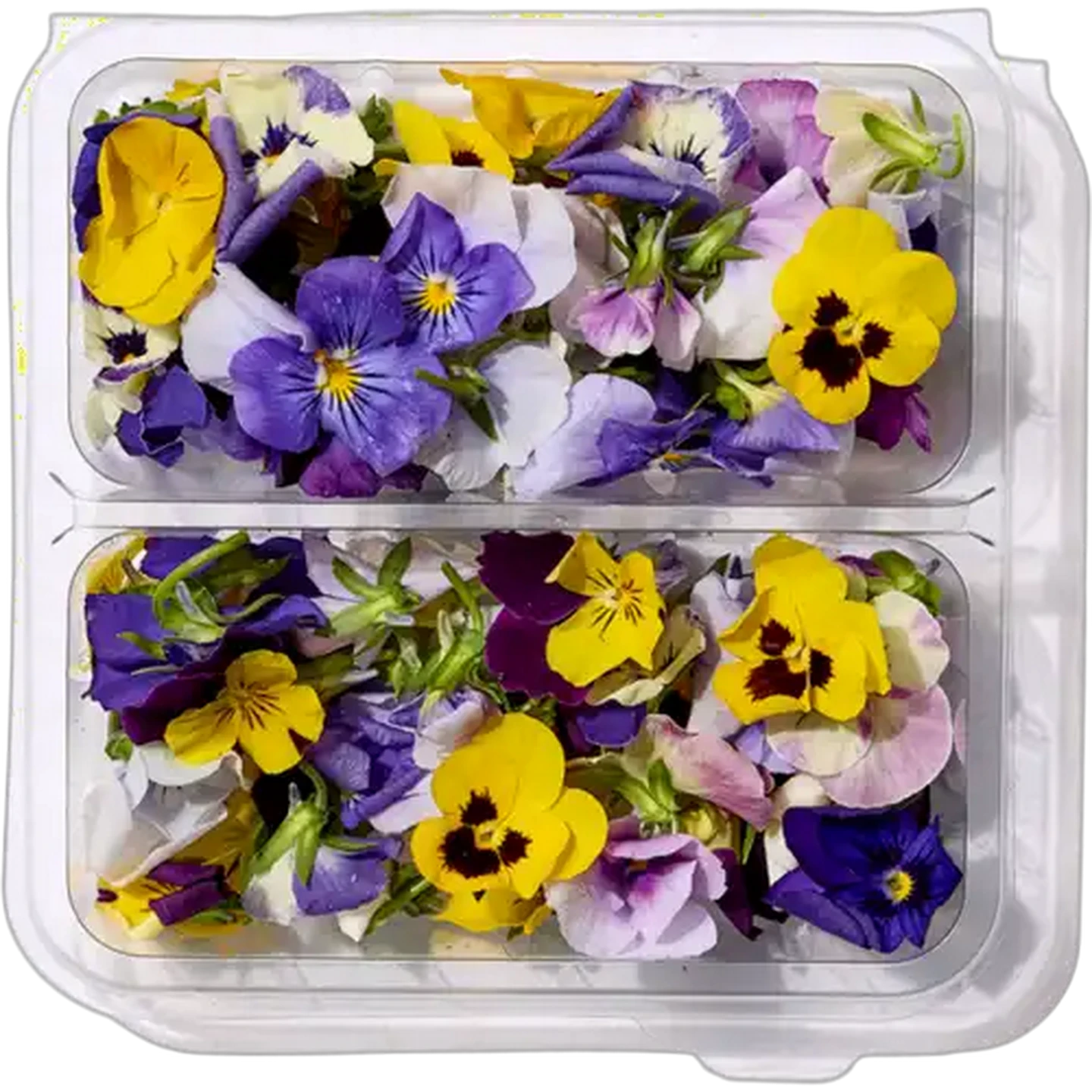 Image of Edible Flowers 10g