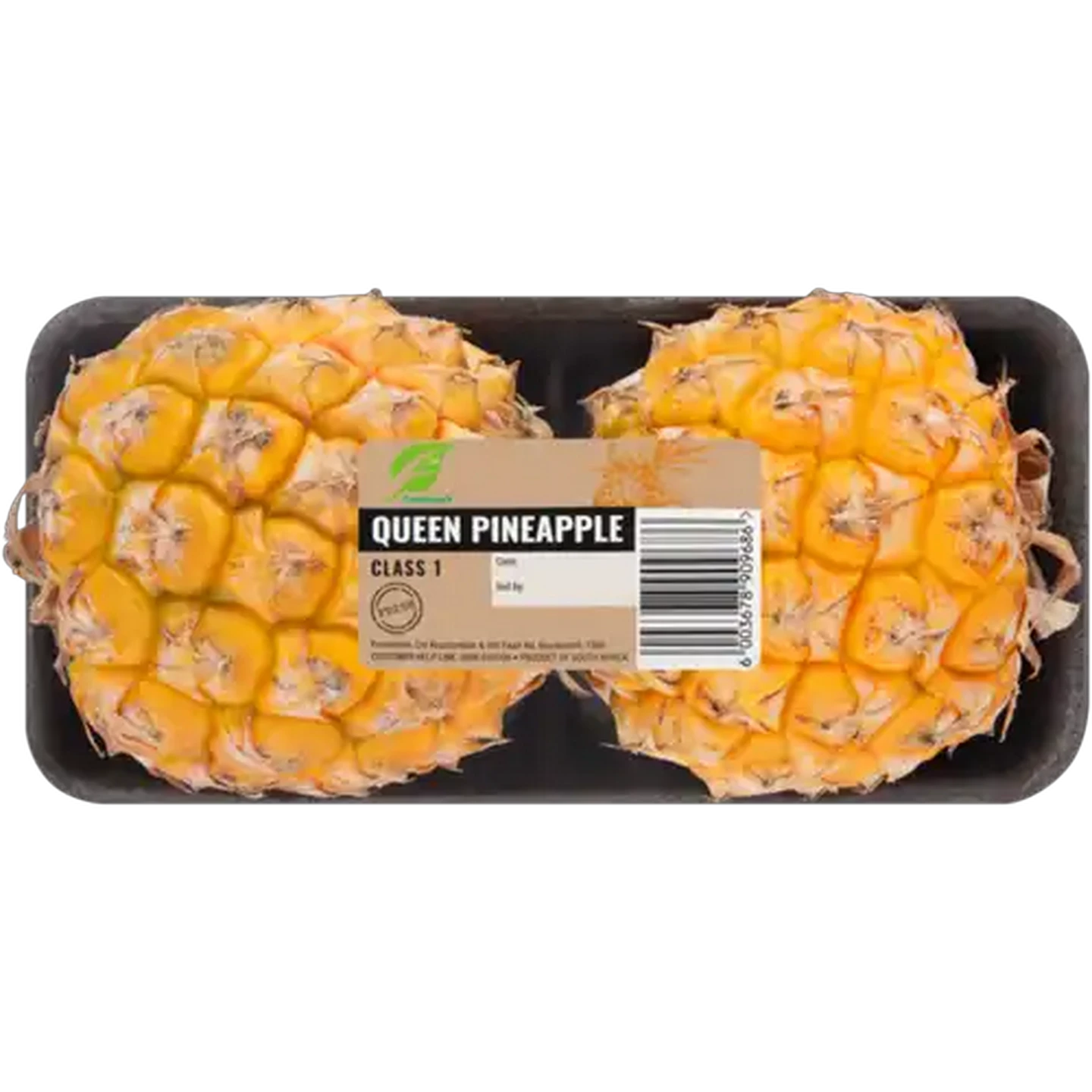 Image of Queen Pineapple 2s