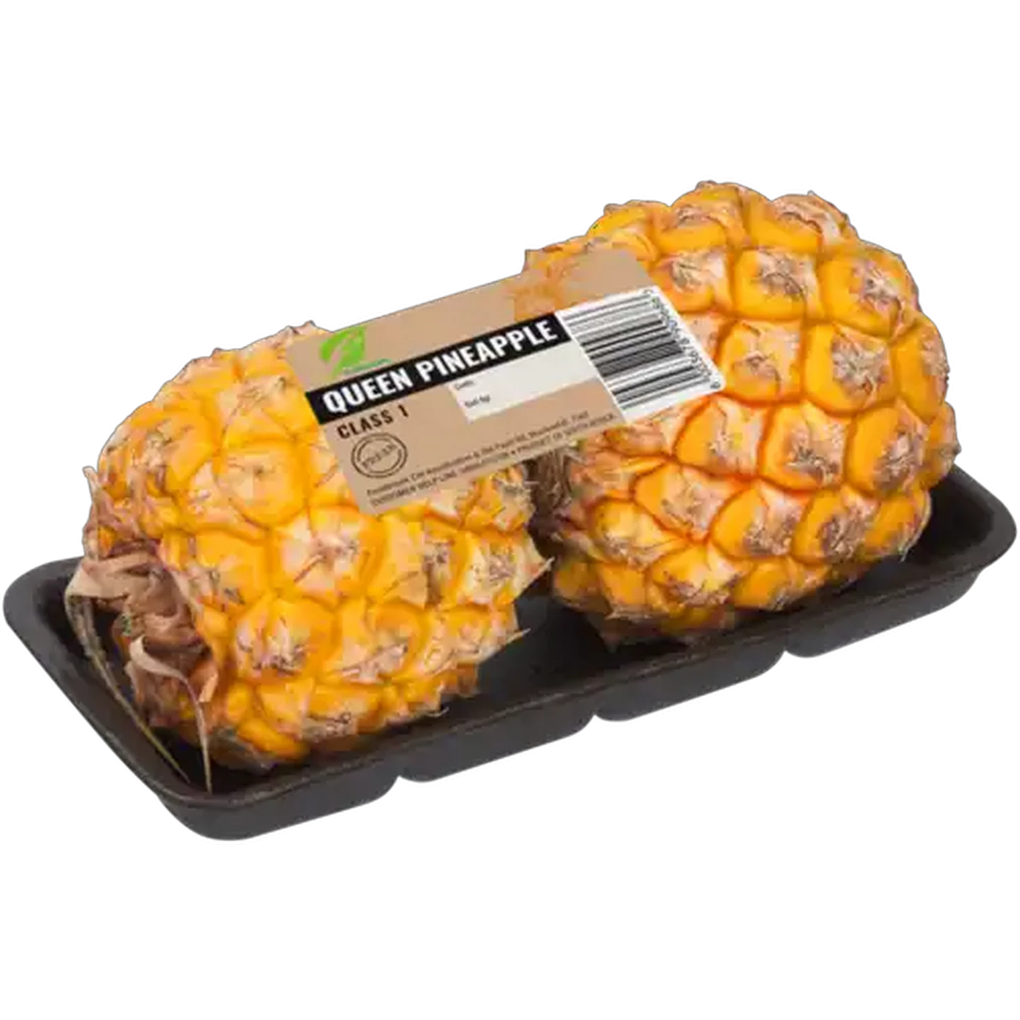 Image of Queen Pineapple 2s