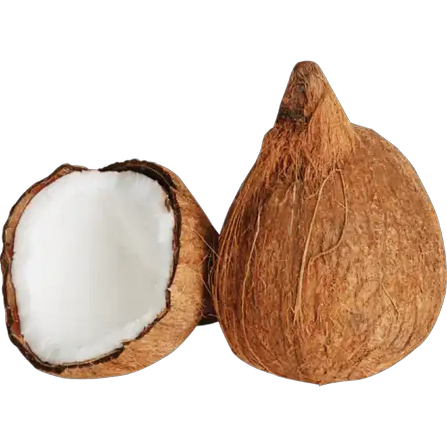 Image of Coconut