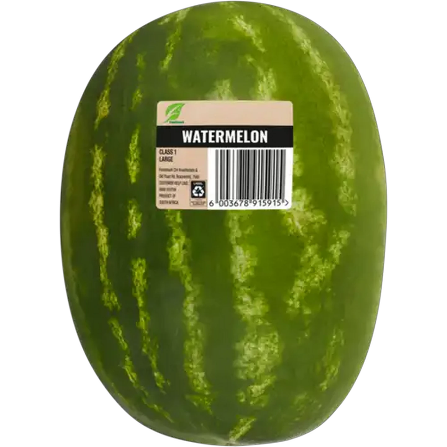 Image of Large Watermelon 1s