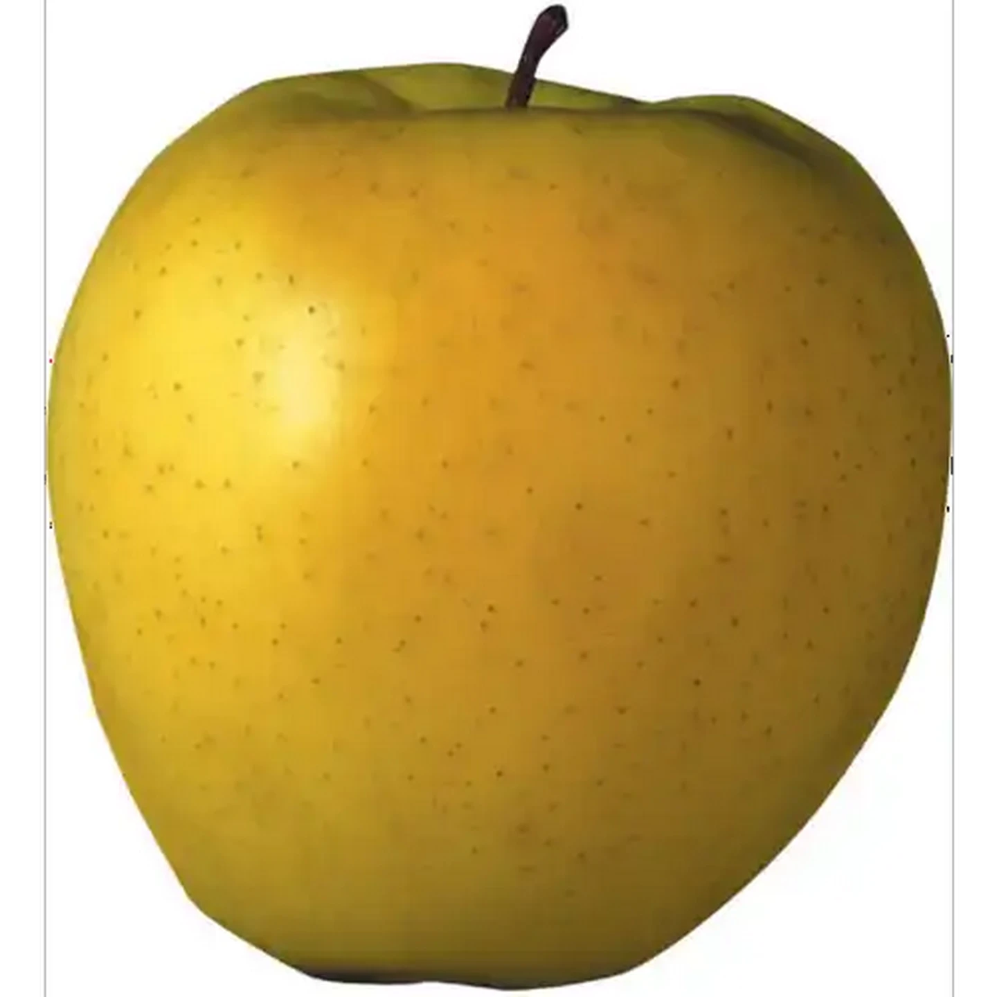 Image of Extra Large Golden Delicious Apple