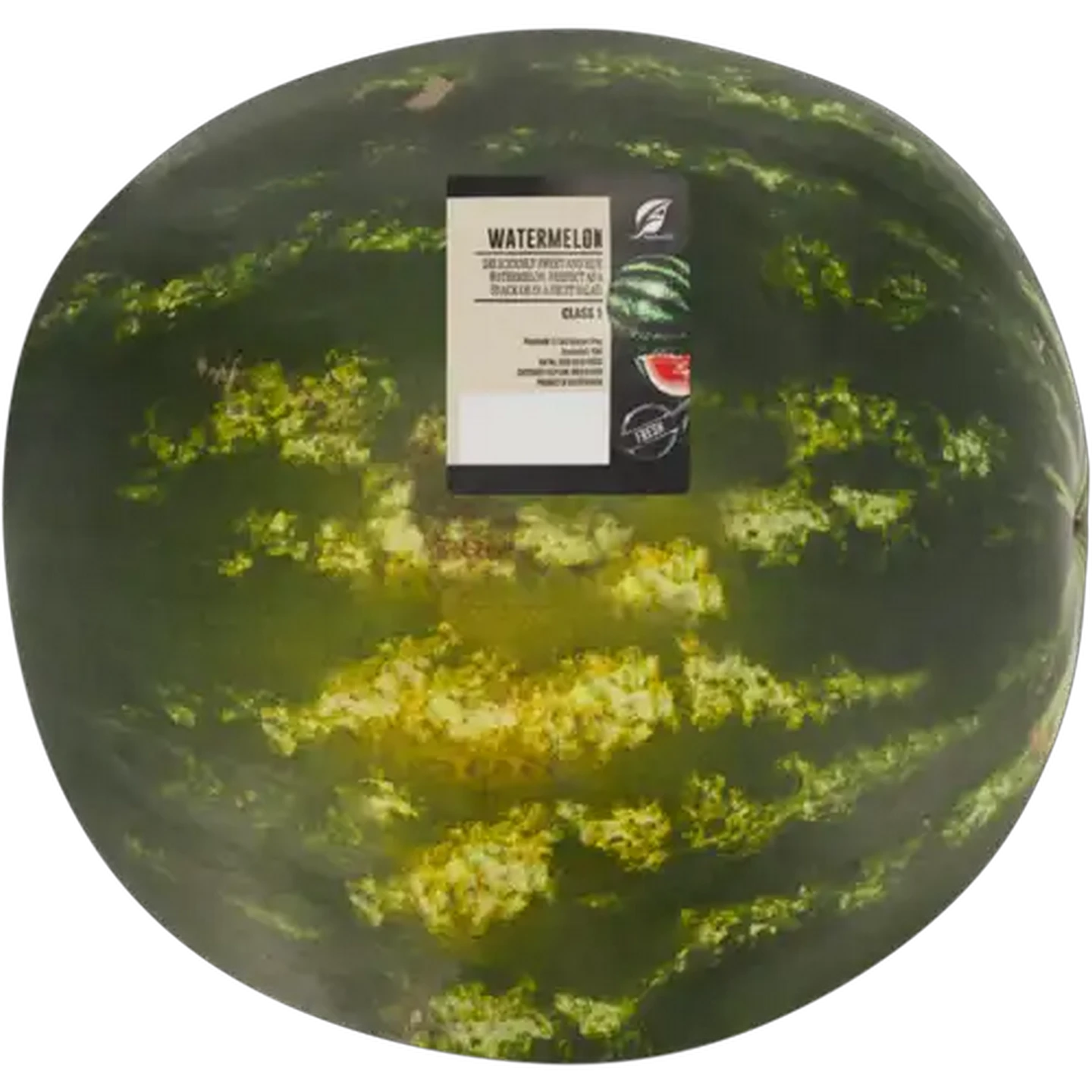 Image of Small Watermelon
