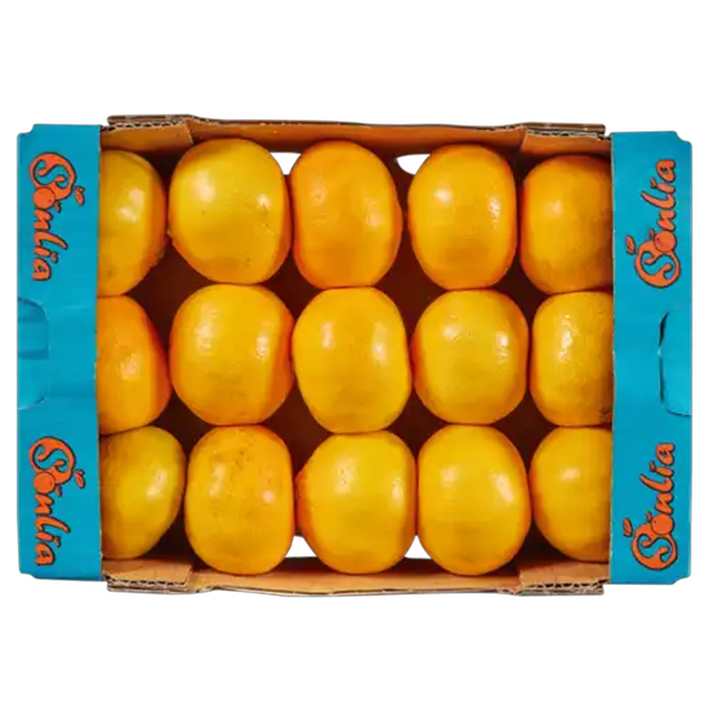 Image of Satsumas 1.5kg