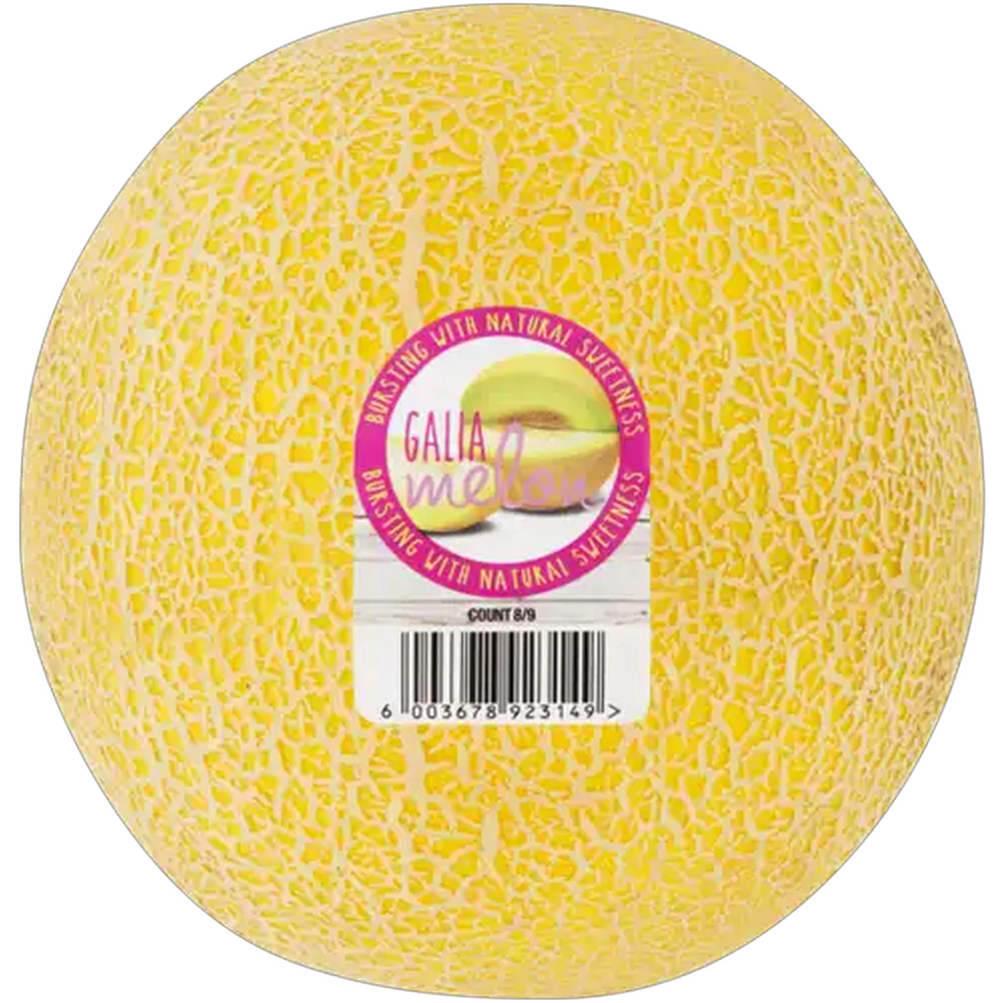Image of Galia Melon