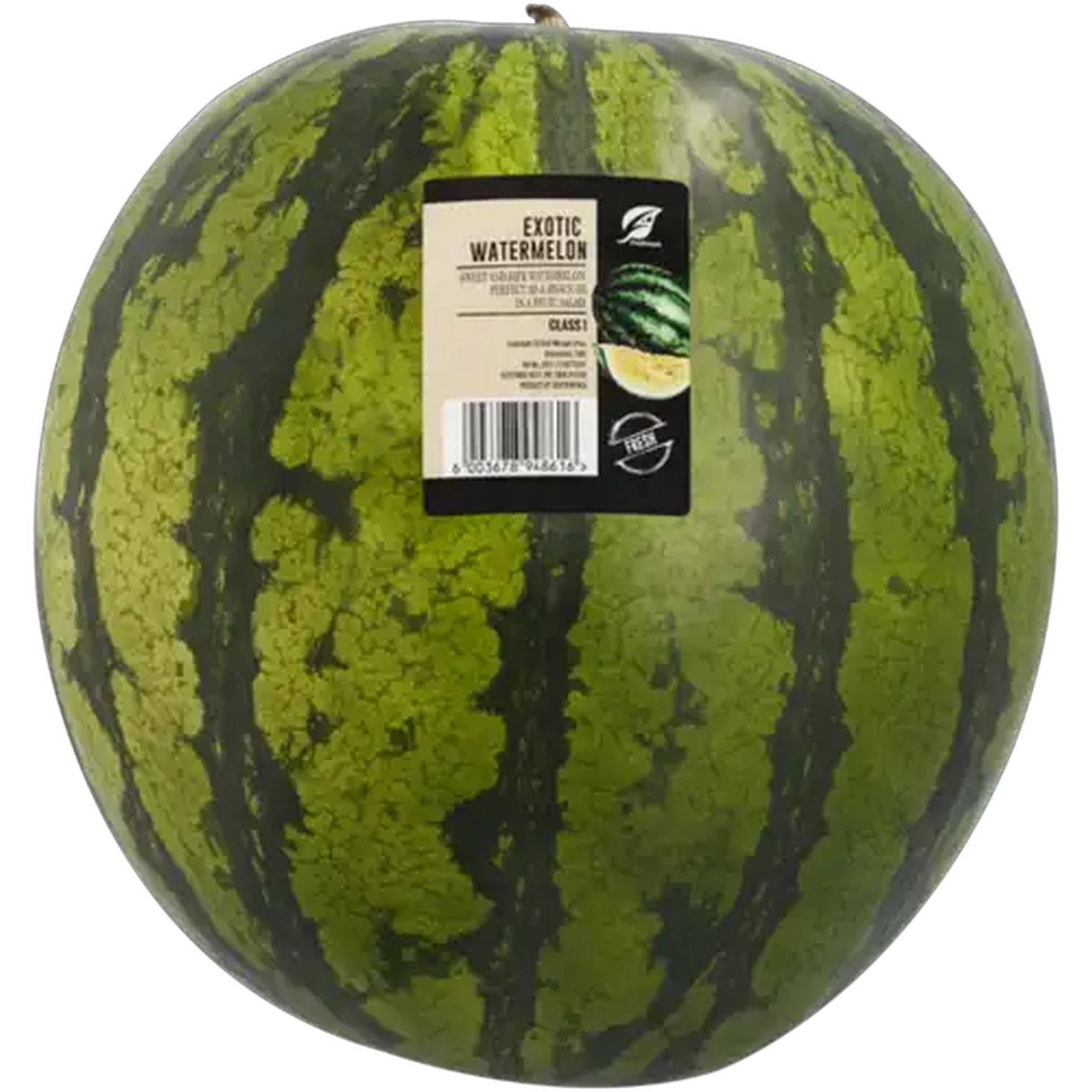 Image of Exotic Watermelon 1s