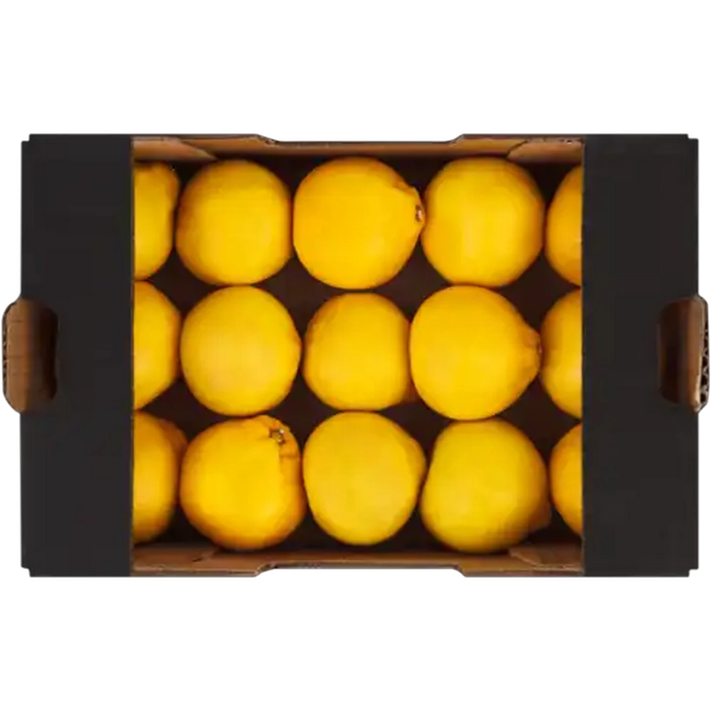 Image of Satsuma Soft Citrus Tray