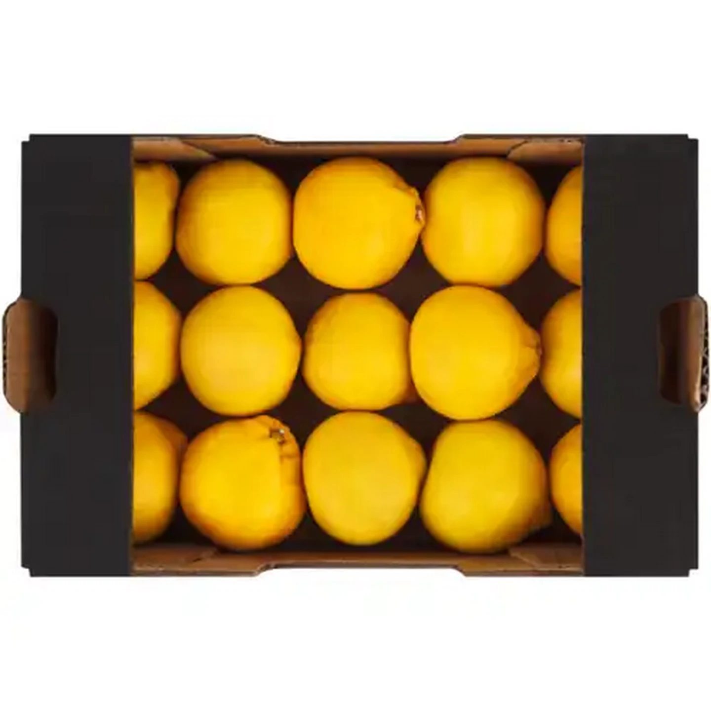 Image of Satsuma Soft Citrus Tray