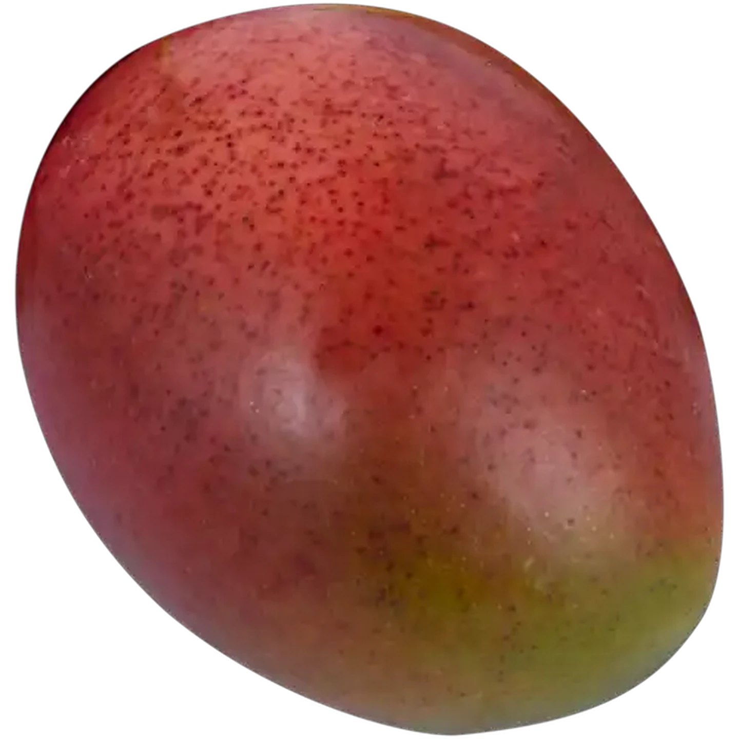 Image of Mango