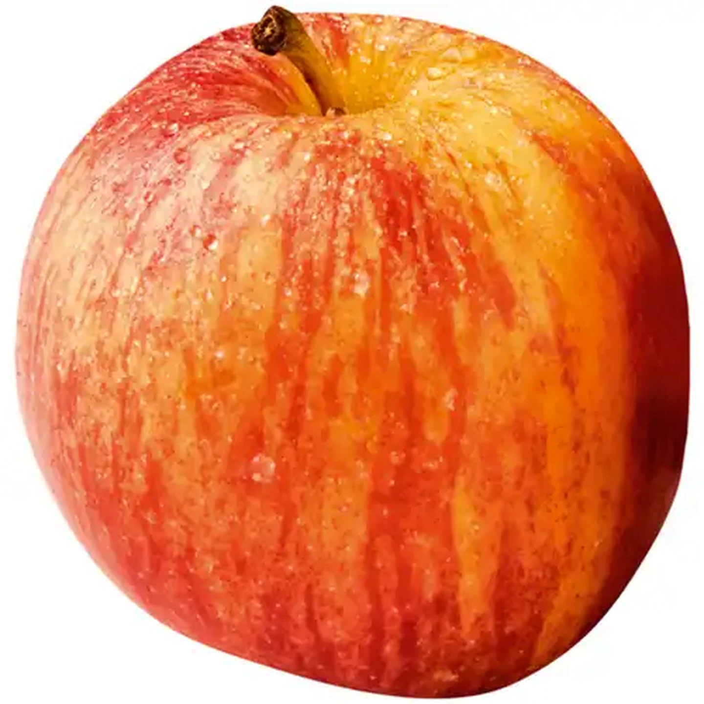 Image of Large Royal Gala Apple