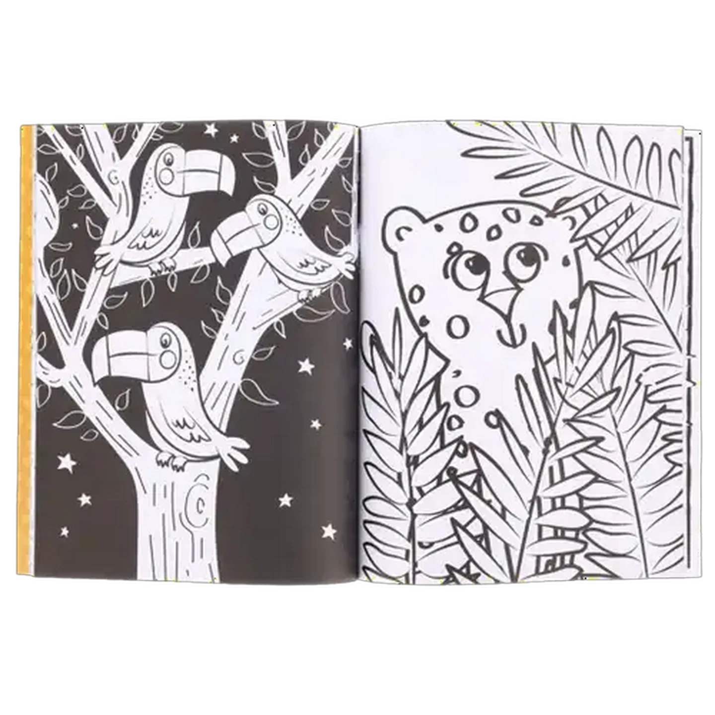 Image of Jungle Colouring Book 60-Pages