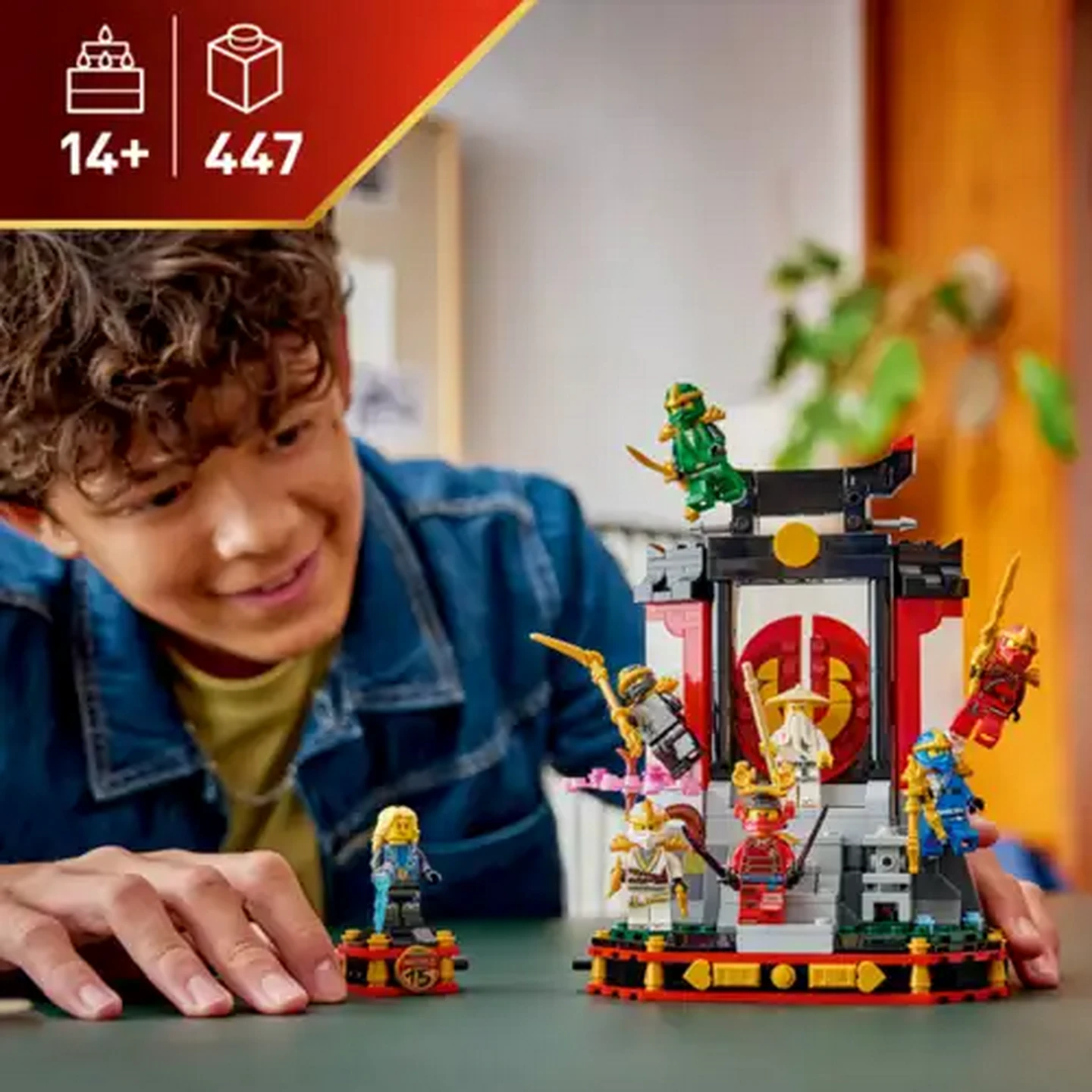 Checkers Sixty60 | LEGO® Ninjago Ninja Character Display 15th