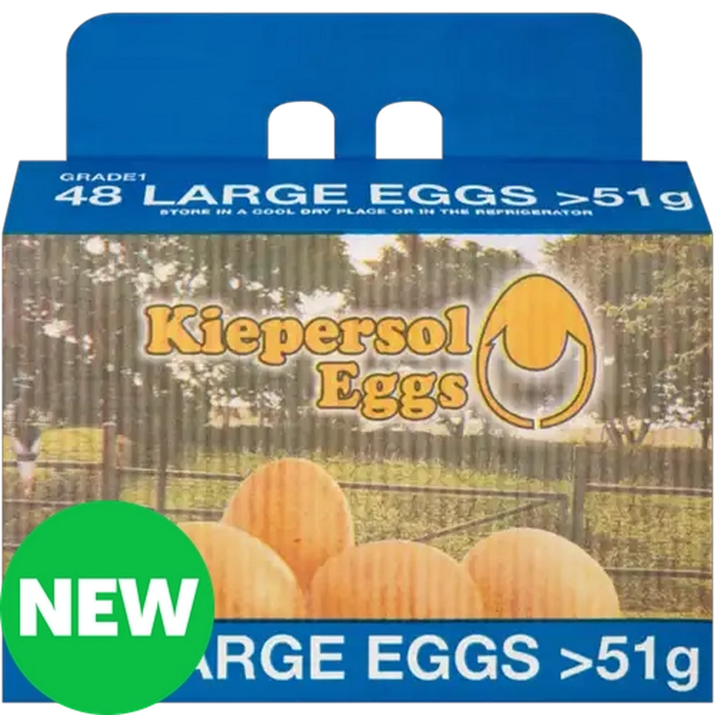 Image of Kiepersol Large Eggs 48 Pack