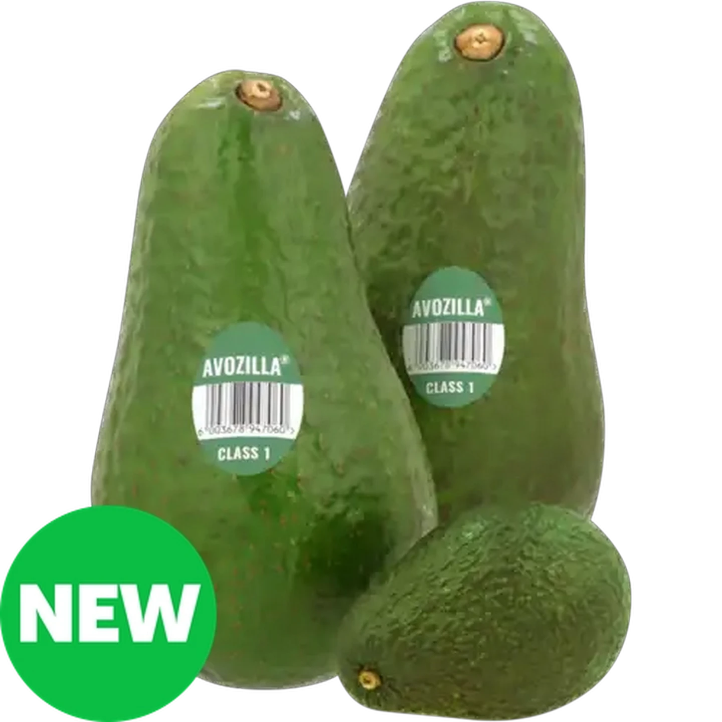 Image of Avozilla® 1s